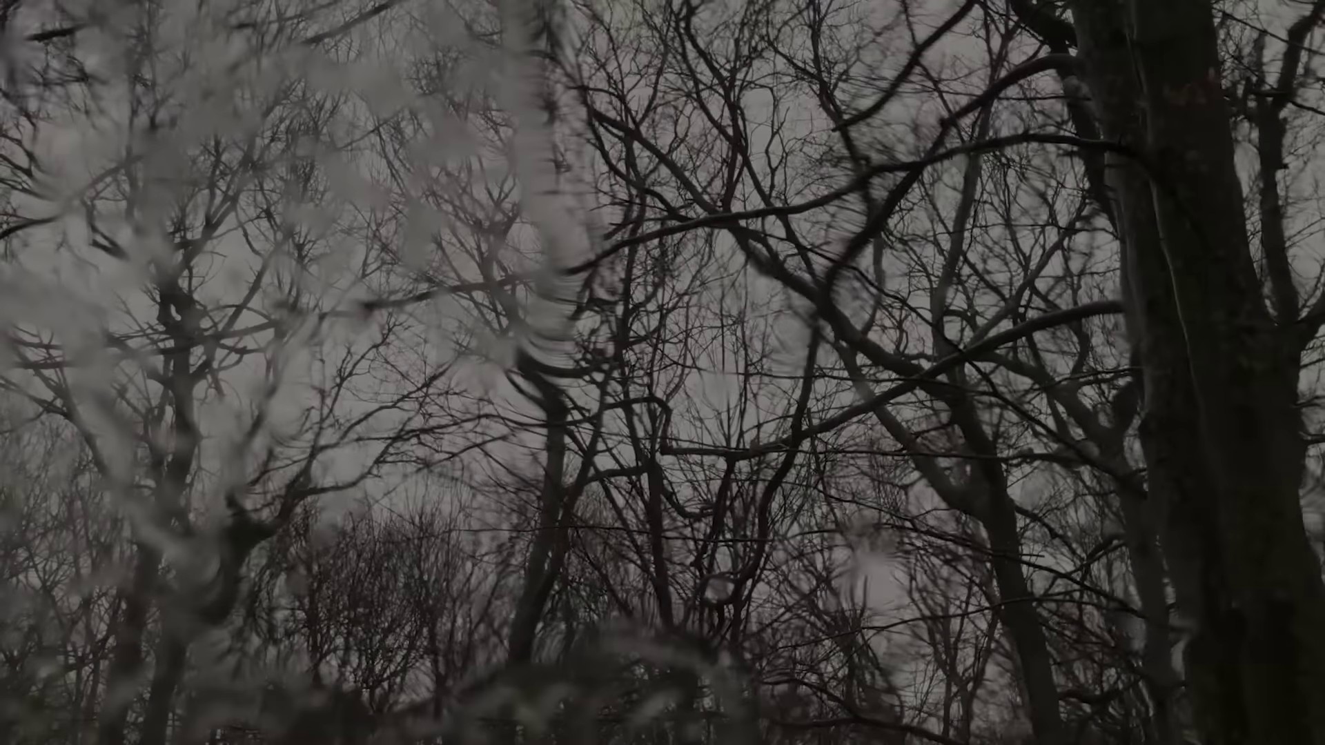 Floating On A Moment (2024) —  shot,  lighting