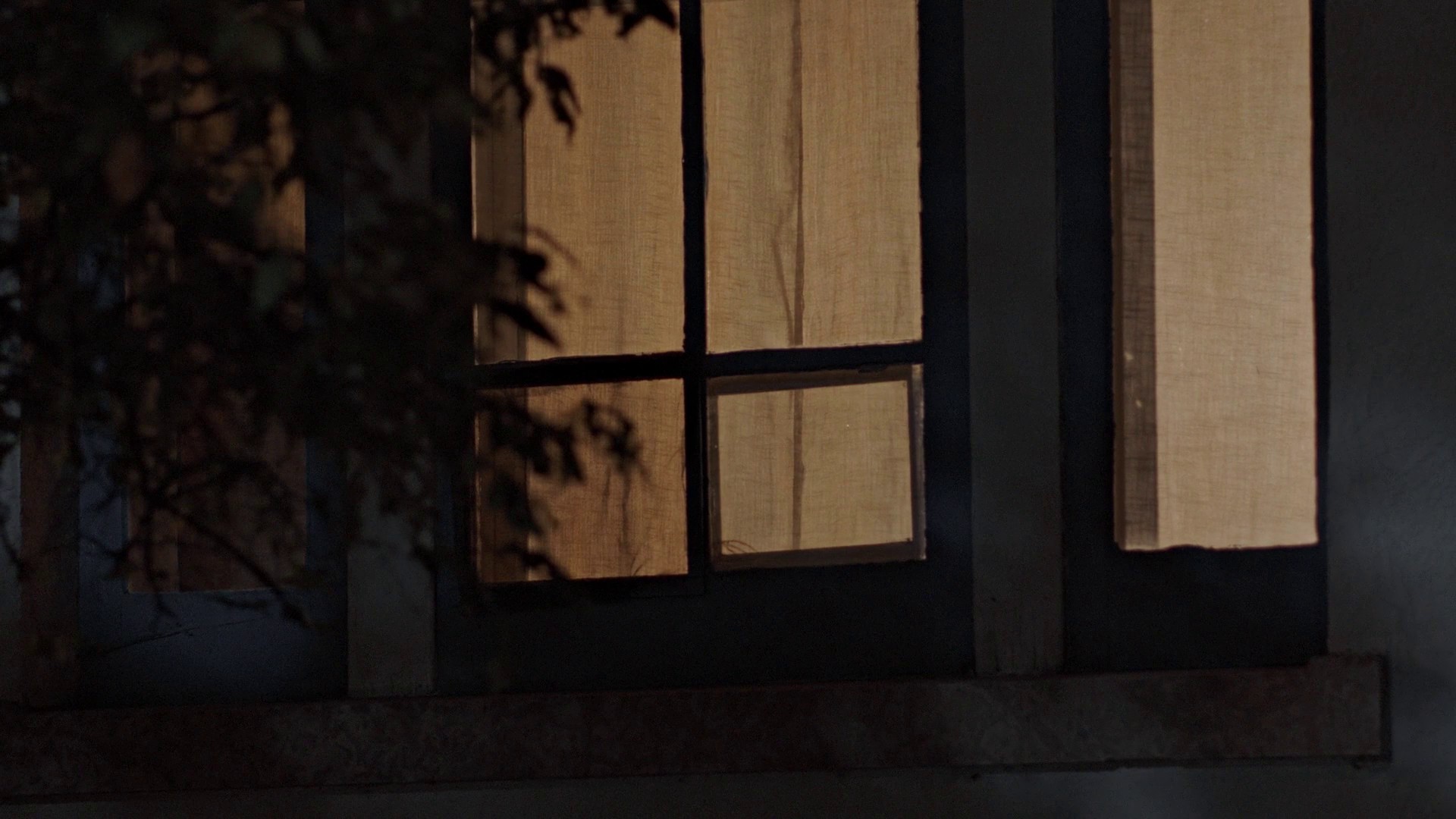 Alice in Slaughterland (2018) —  shot,  lighting