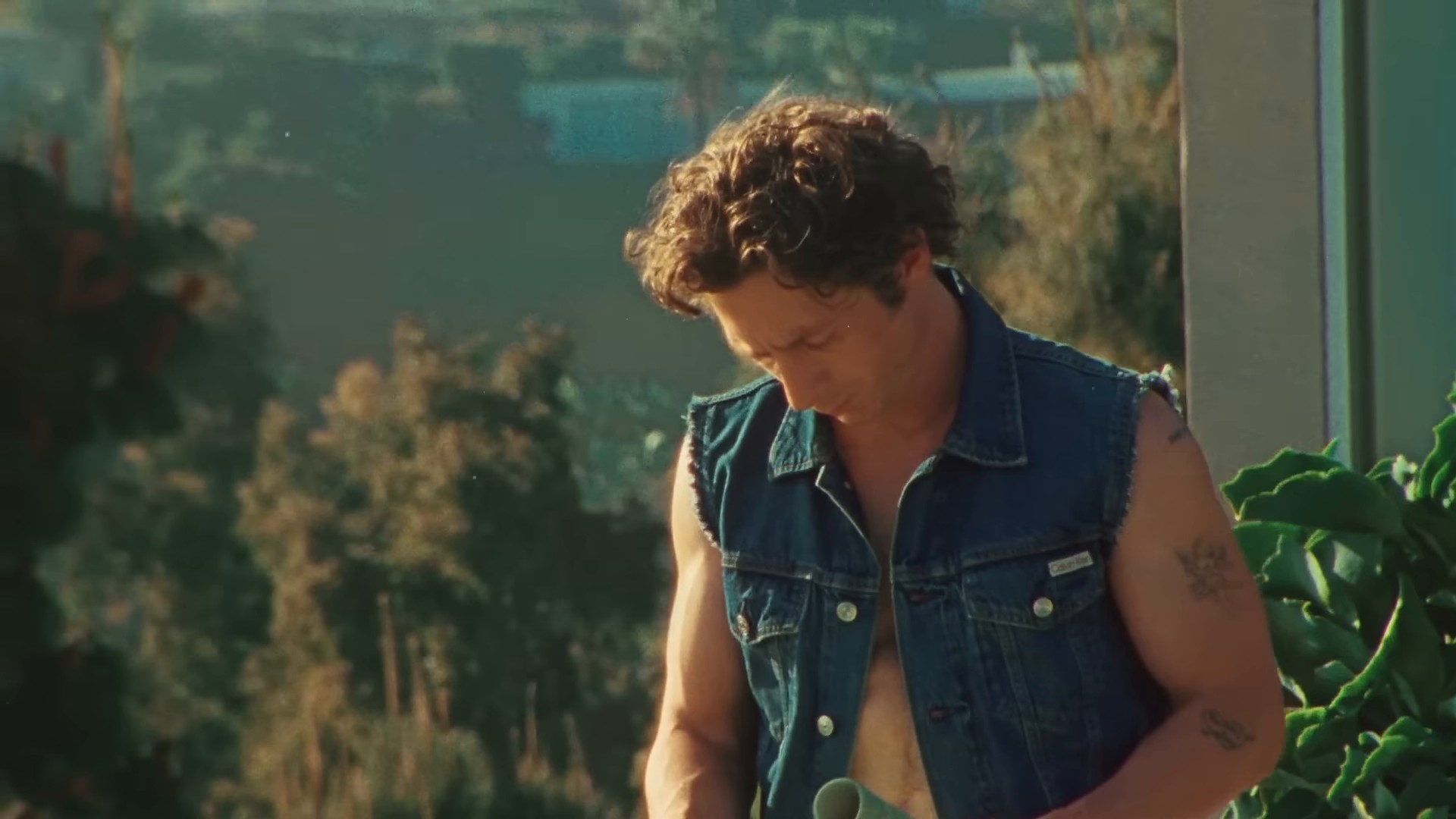 Jeremy Allen White in Calvin Klein | Fall 2024 Campaign (2024) —  shot,  lighting