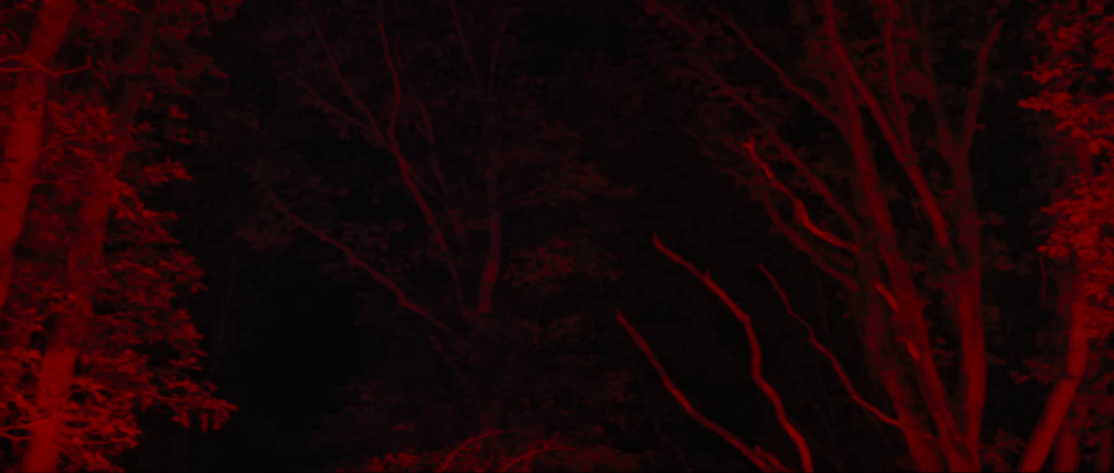 Love Quotes  (2022) —  shot,  lighting