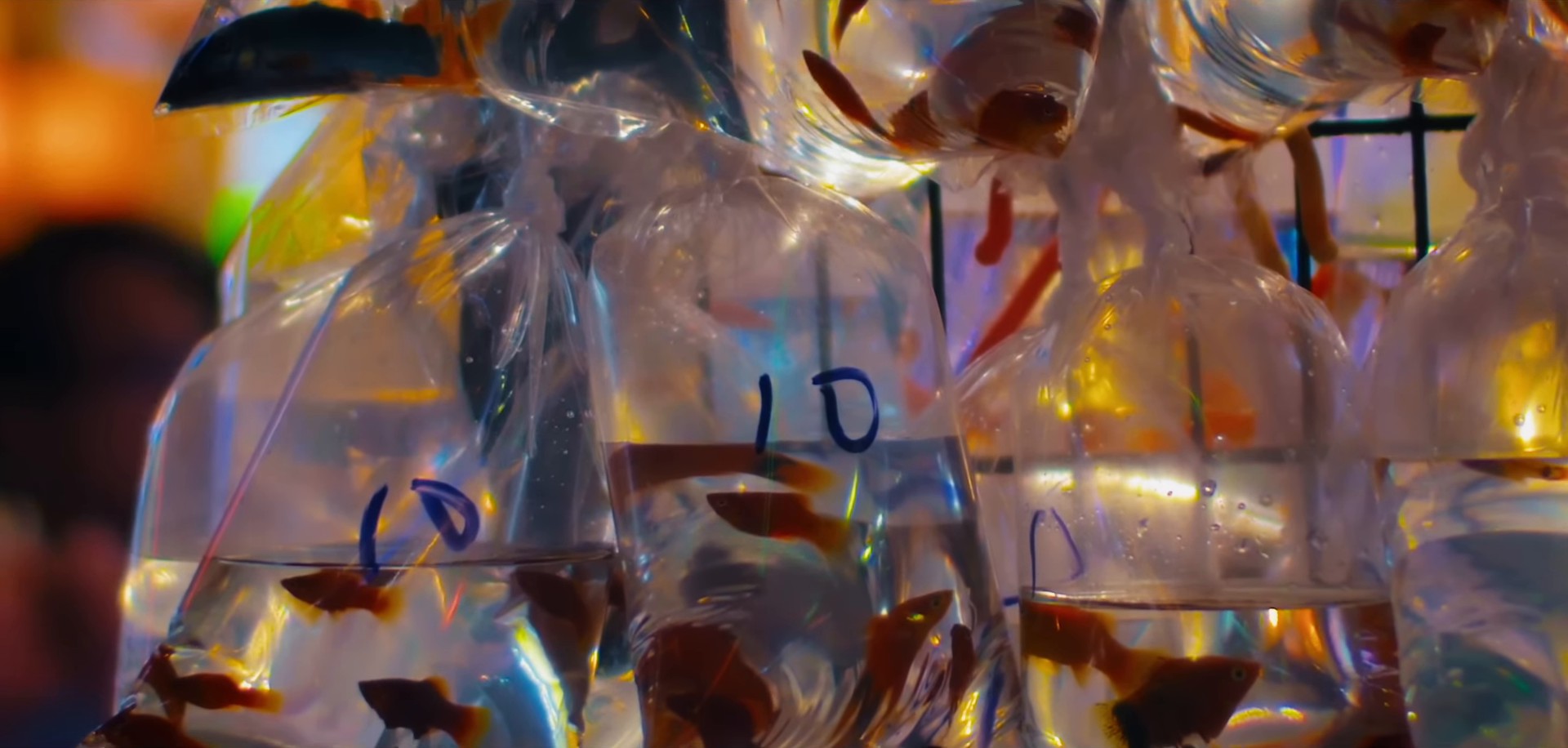 The Feeling You Get (2024) —  shot,  lighting