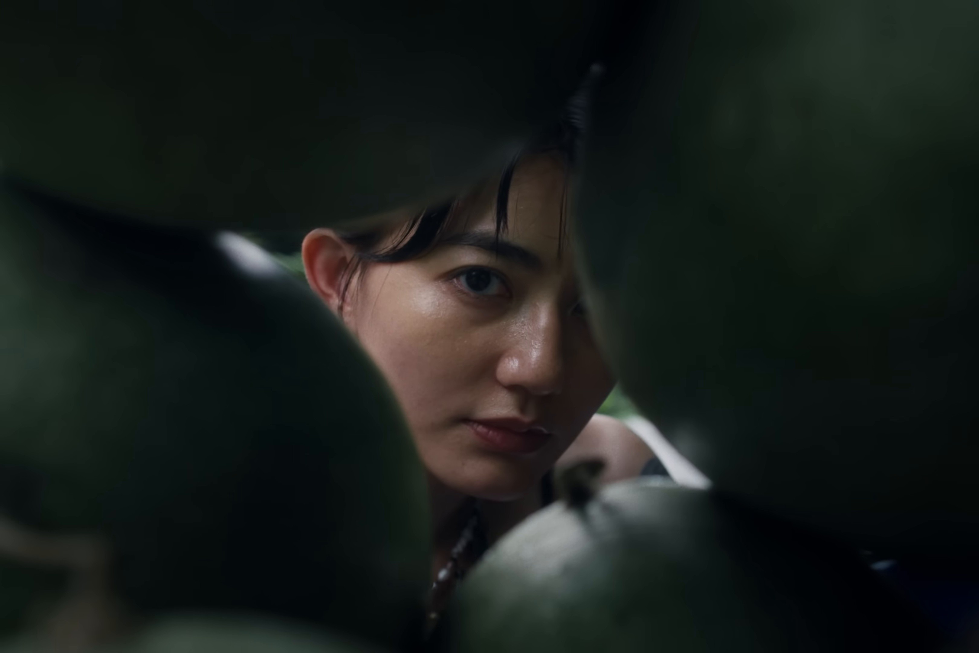 HAZE (2025) —  shot,  lighting