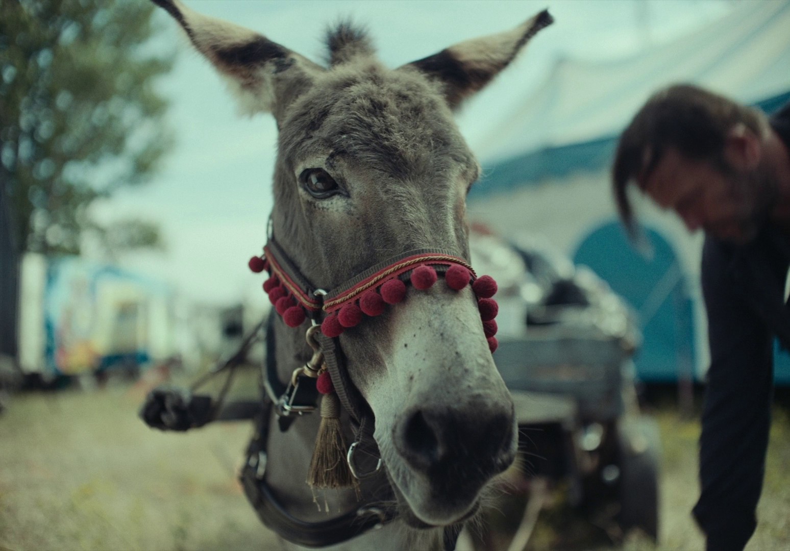 EO (2022) —  shot,  lighting