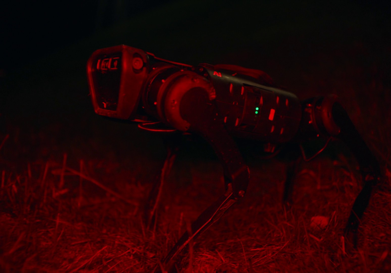 EO (2022) —  shot,  lighting