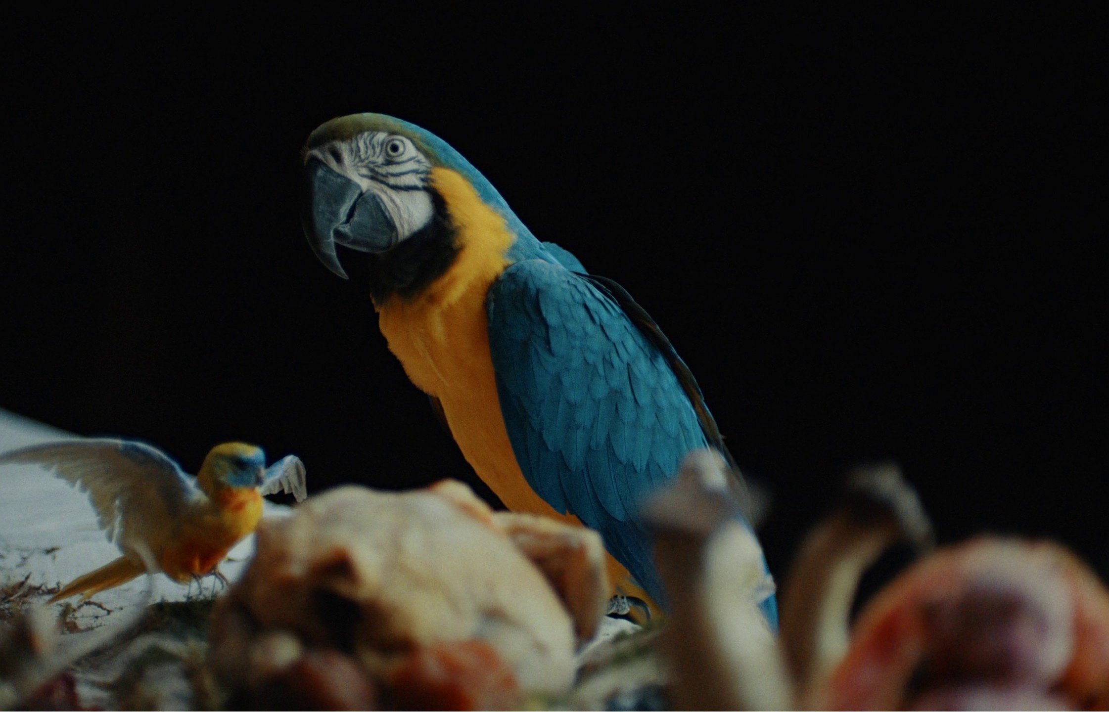 Say Nothing (2022) —  shot,  lighting