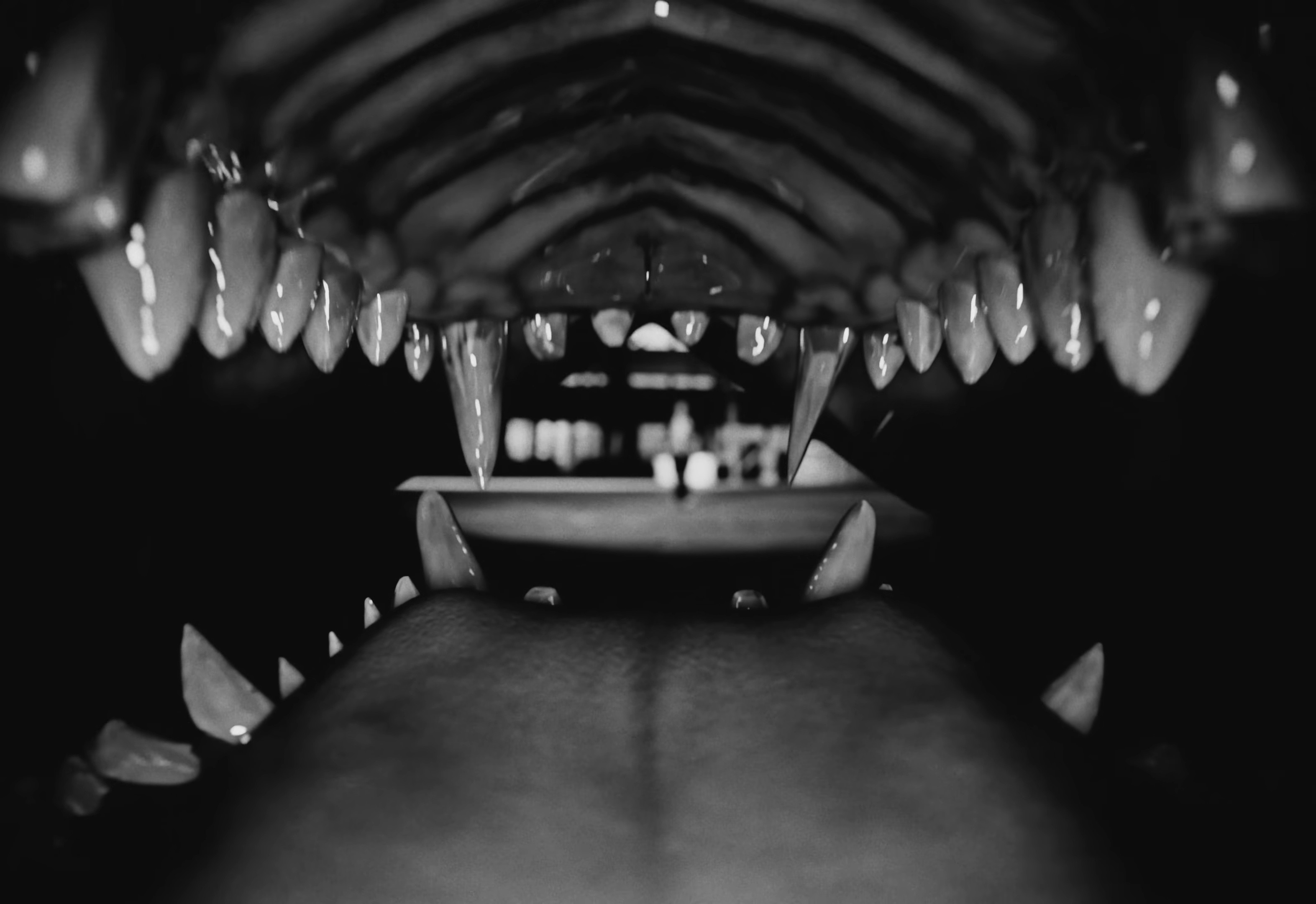 BRINGBLICK (2025) —  shot,  lighting