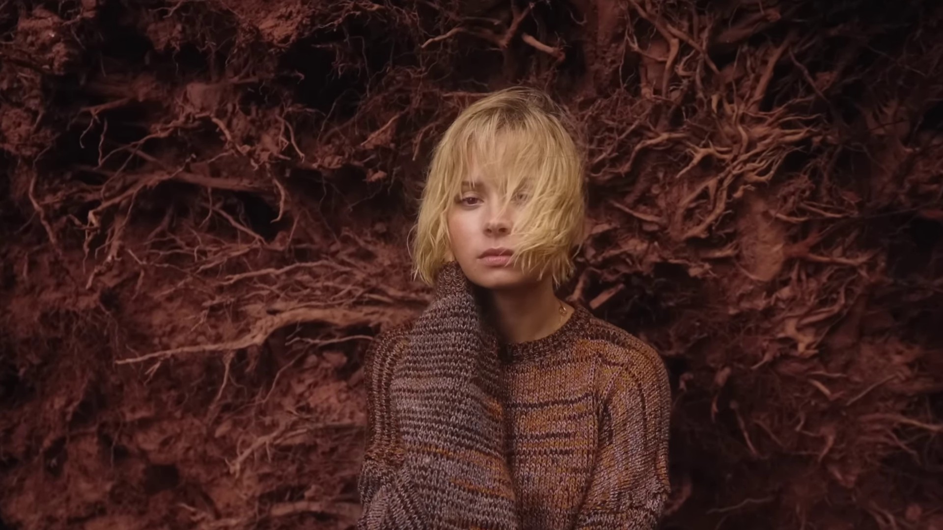 I Should Be A Bird  (2022) —  shot,  lighting