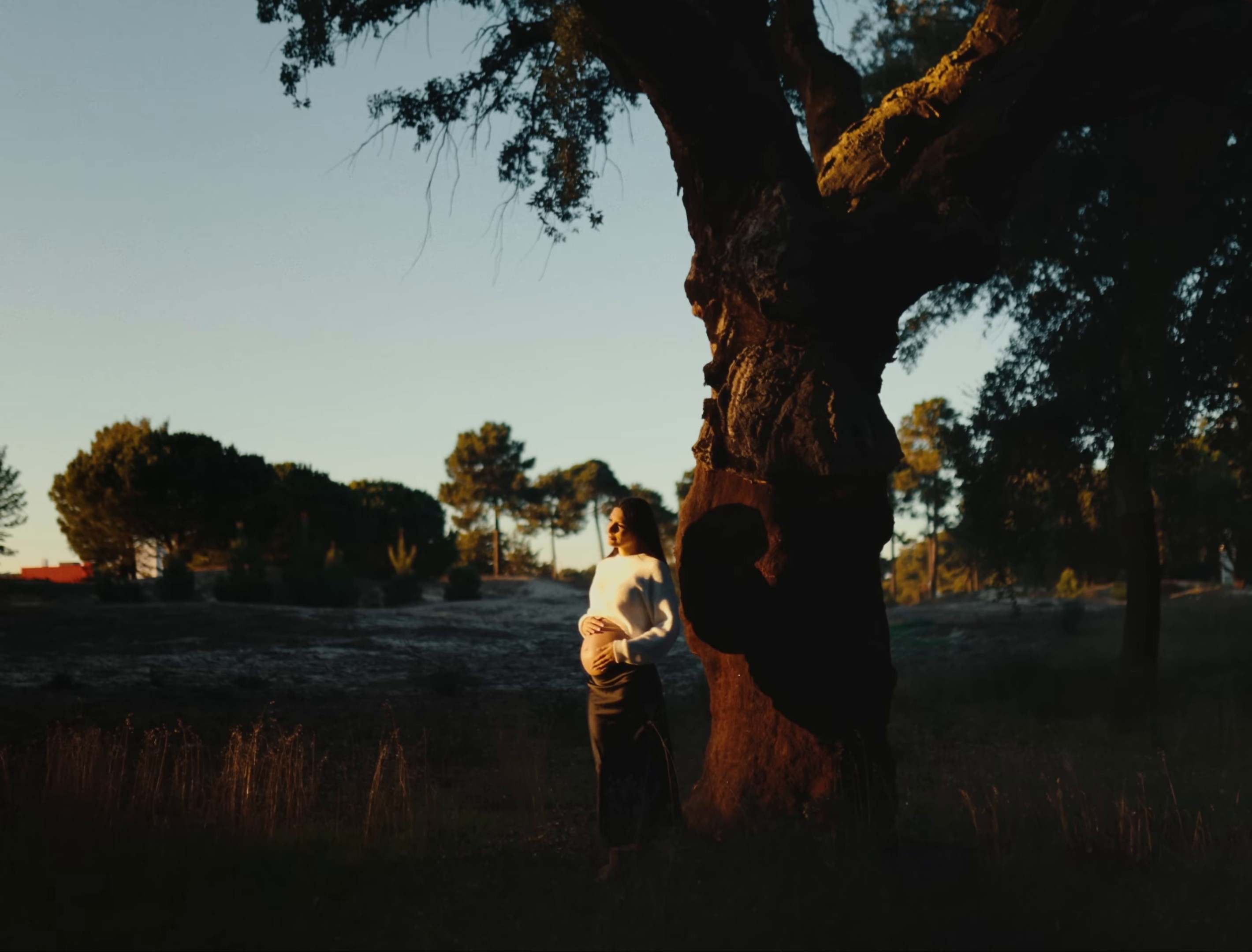 Respirar (2025) —  shot,  lighting