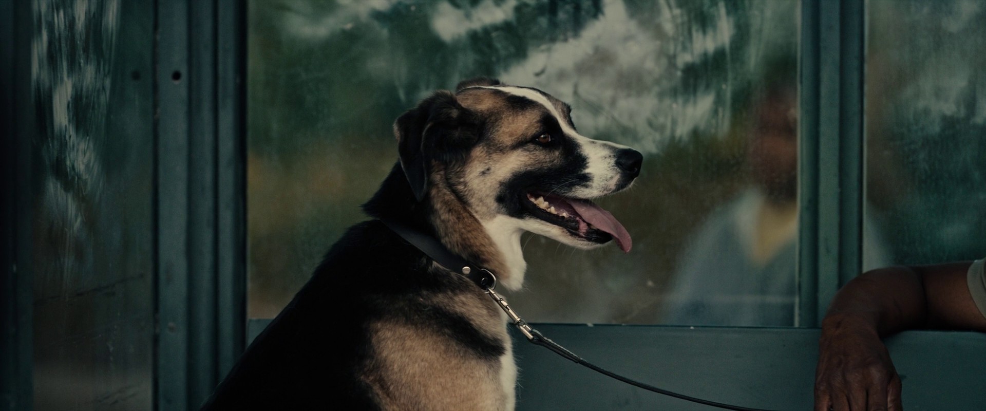 Breaking (2022) —  shot,  lighting