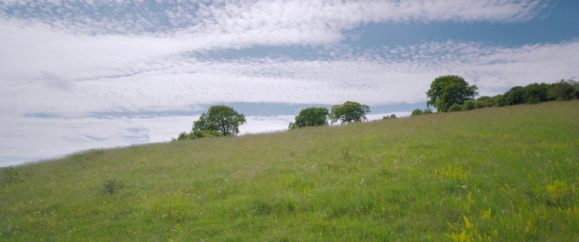 Enola Holmes (2020) —  shot,  lighting