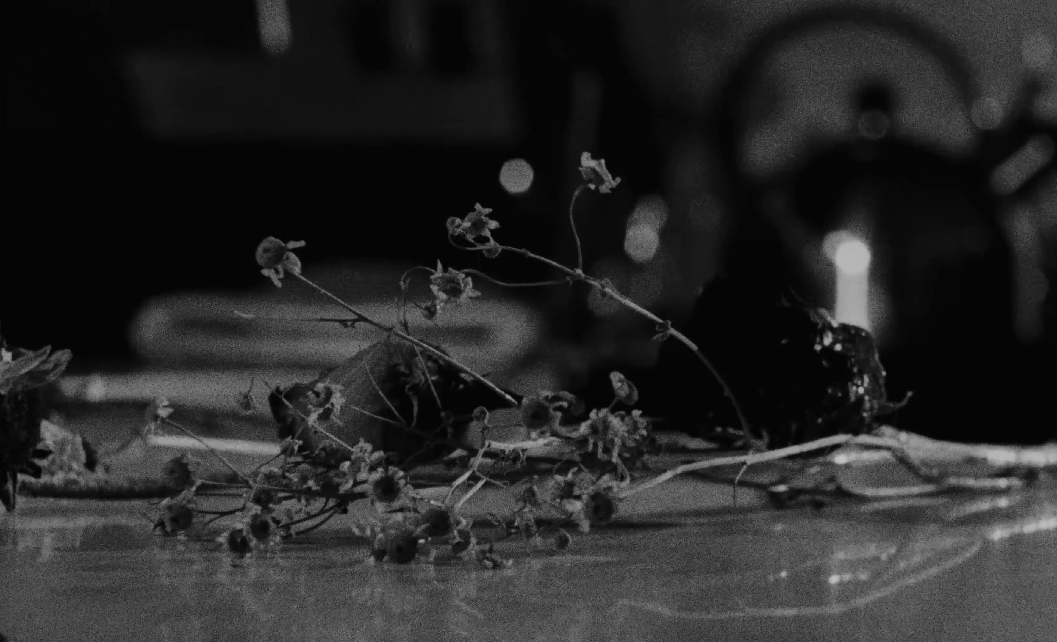 stupid prizes (2025) —  shot,  lighting