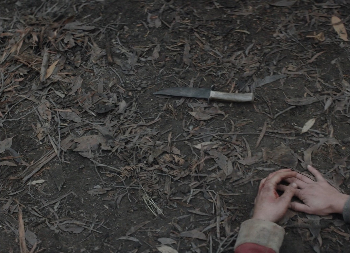 The Nightingale (2018) —  shot,  lighting