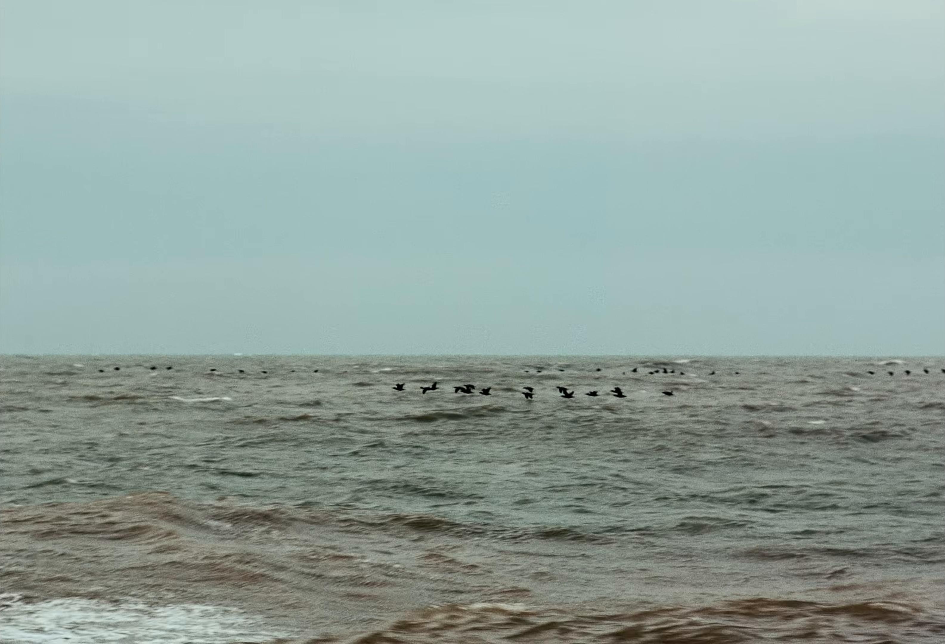 Excuses For Love (2026) —  shot,  lighting