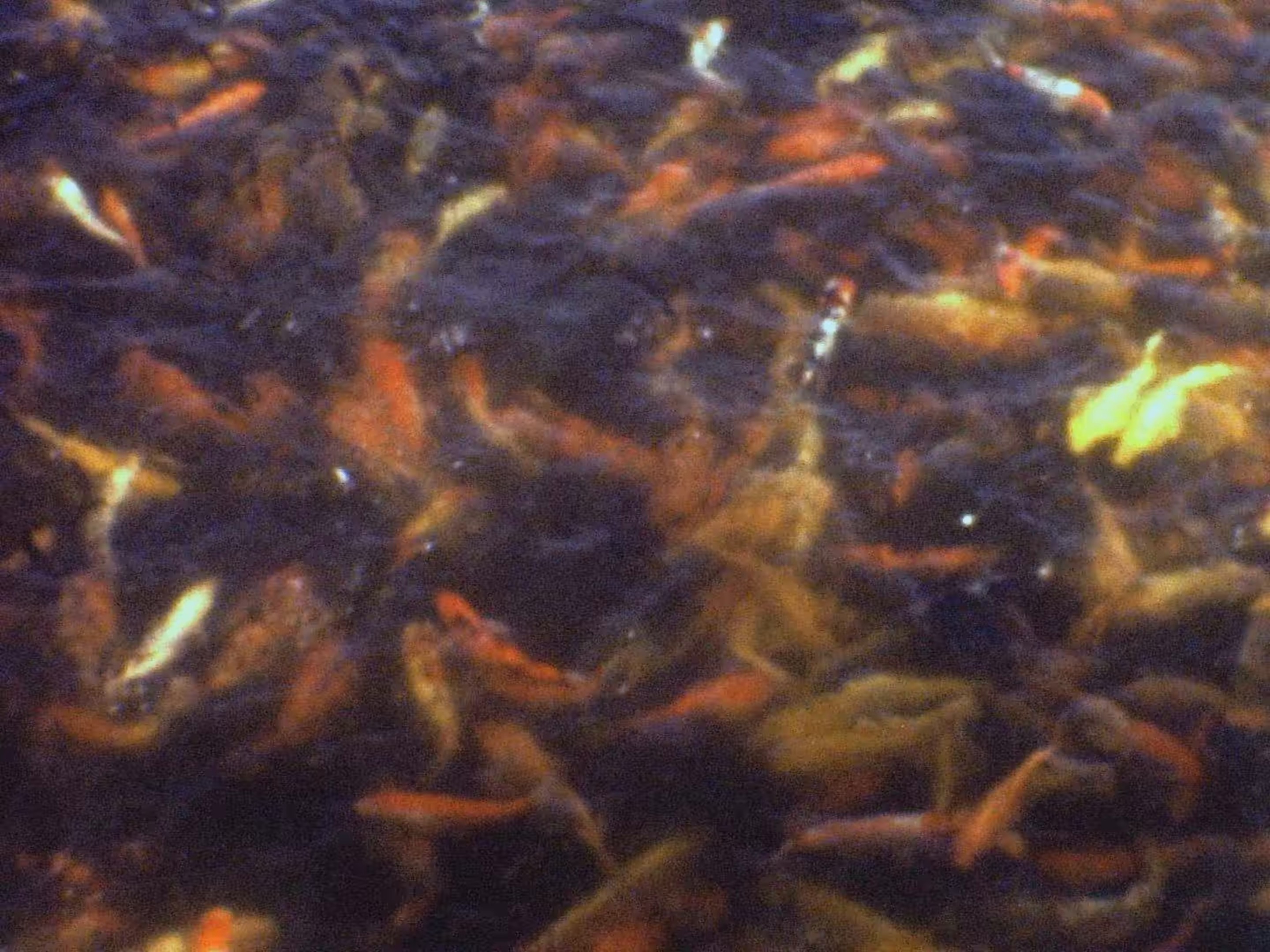 All Your Life (2024) —  shot,  lighting