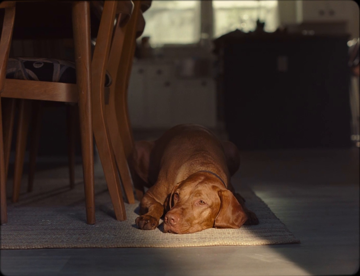 Clayton, "eBuilt" :60 (2024) —  shot,  lighting