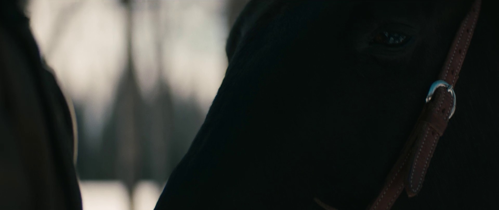 No glory in the West (2020) —  shot,  lighting