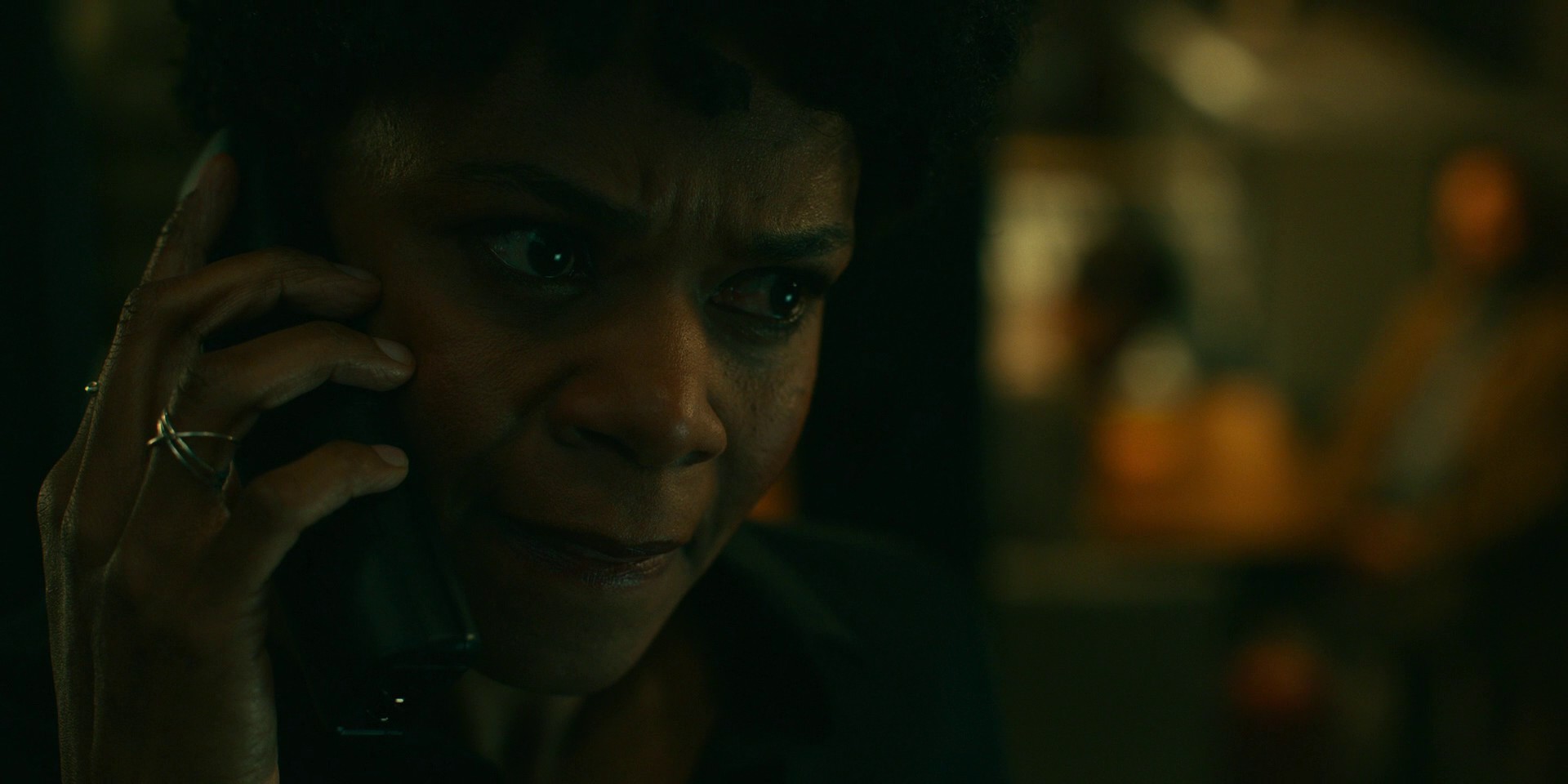 Foxes and Coyotes (2021) —  shot,  lighting