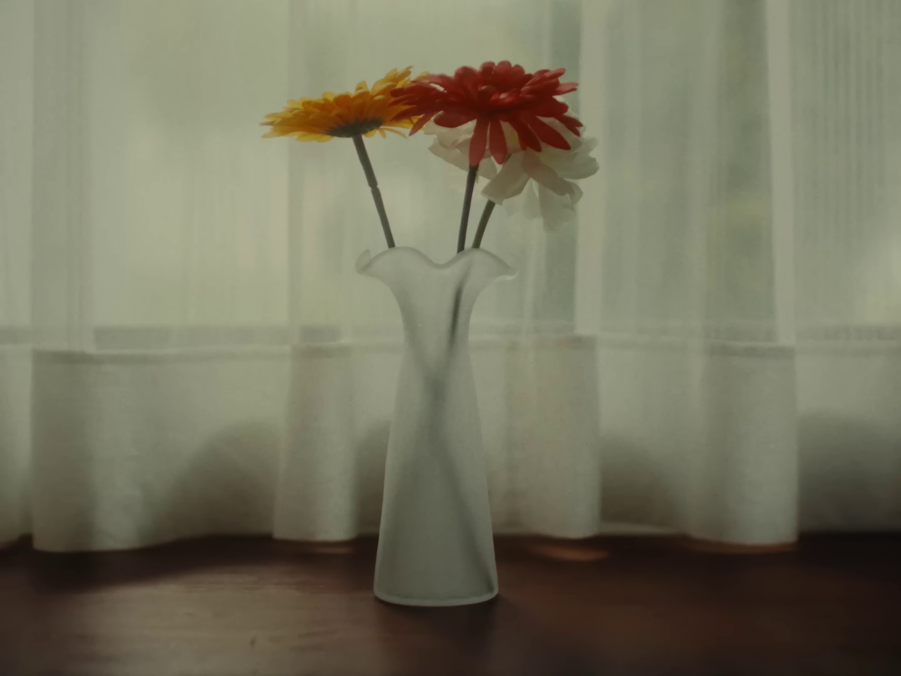 Photographs (2024) —  shot,  lighting