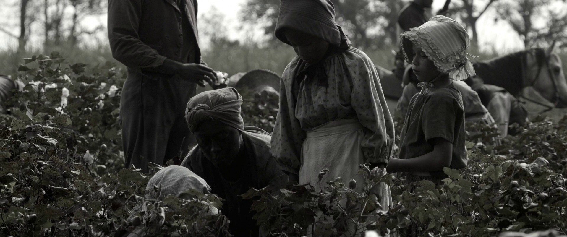 Emancipation (2022) —  shot,  lighting