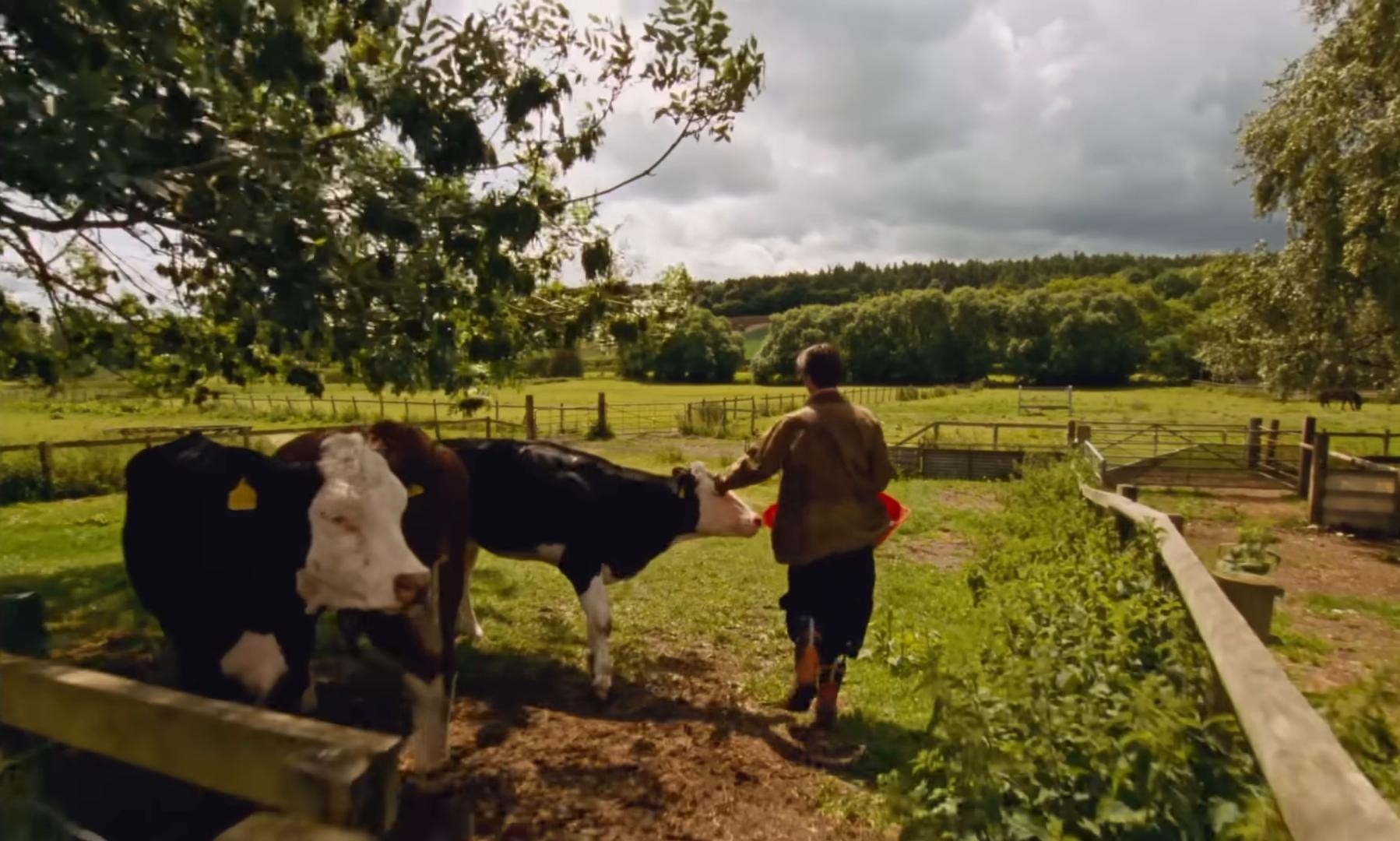 Beth's Farm  (2025) —  shot,  lighting