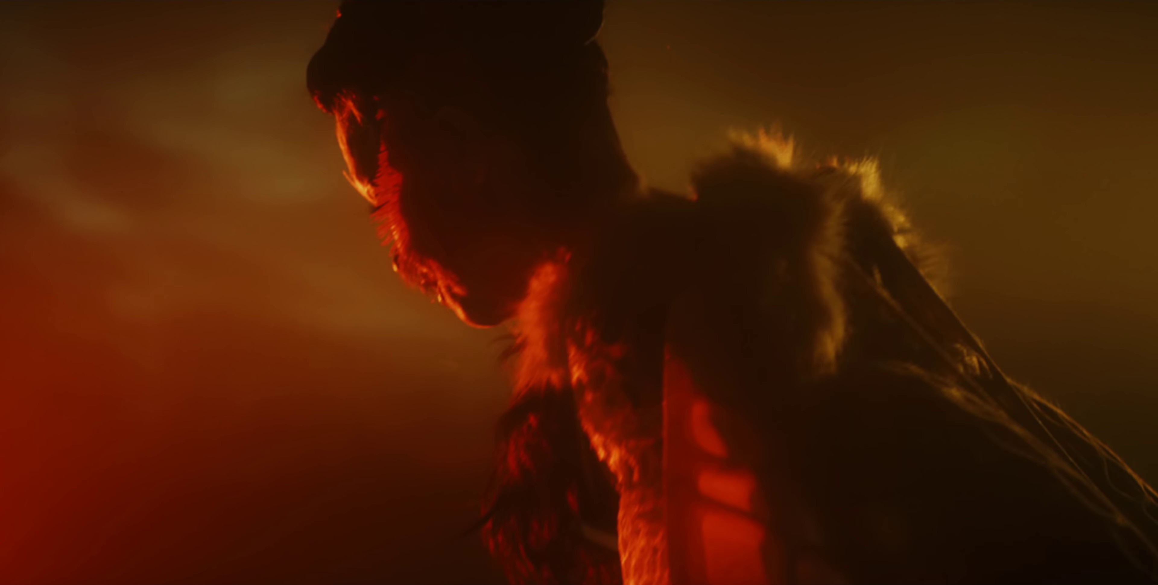 arisen my senses (2017) —  shot,  lighting