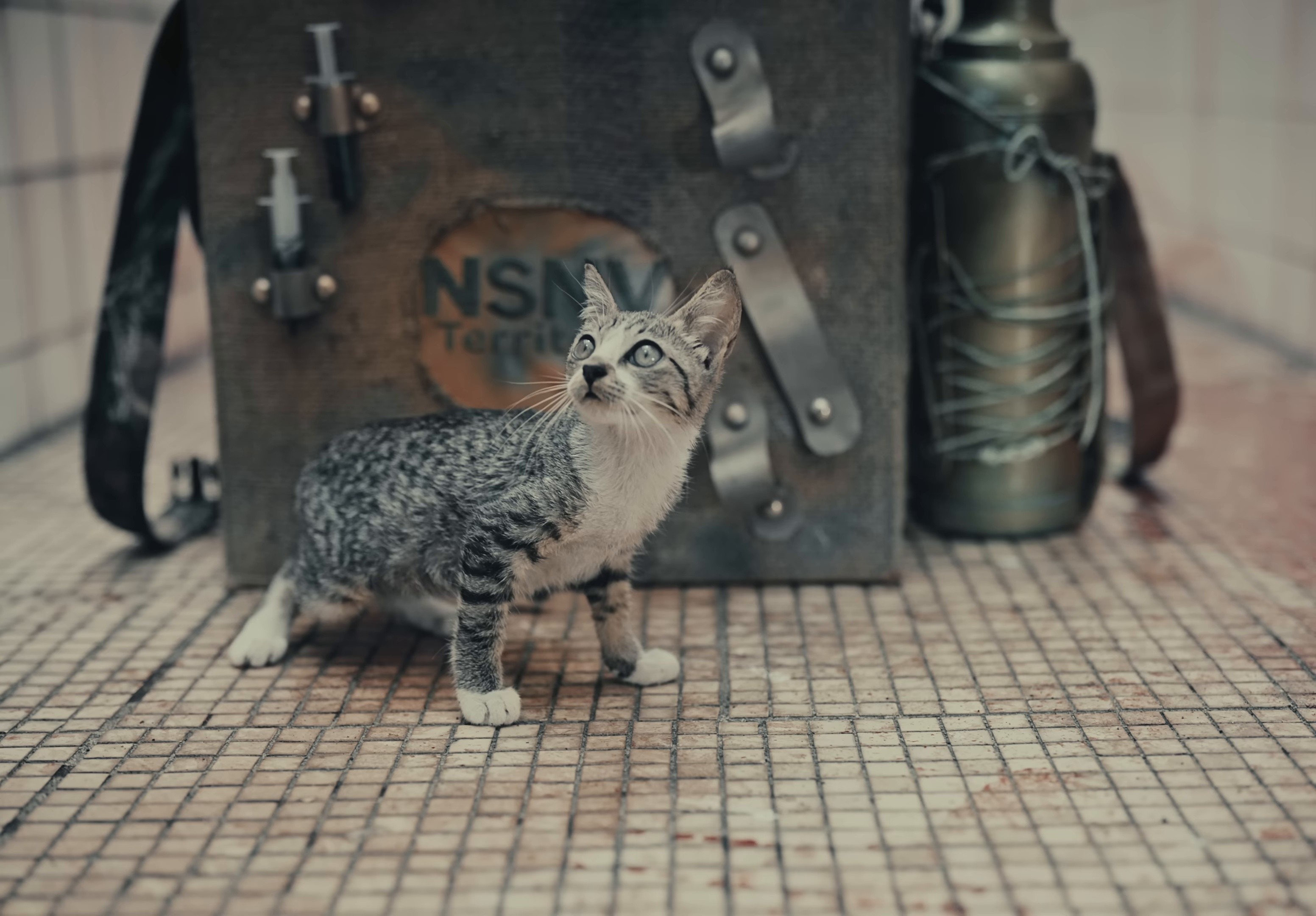 SHAOLIN (2025) —  shot,  lighting