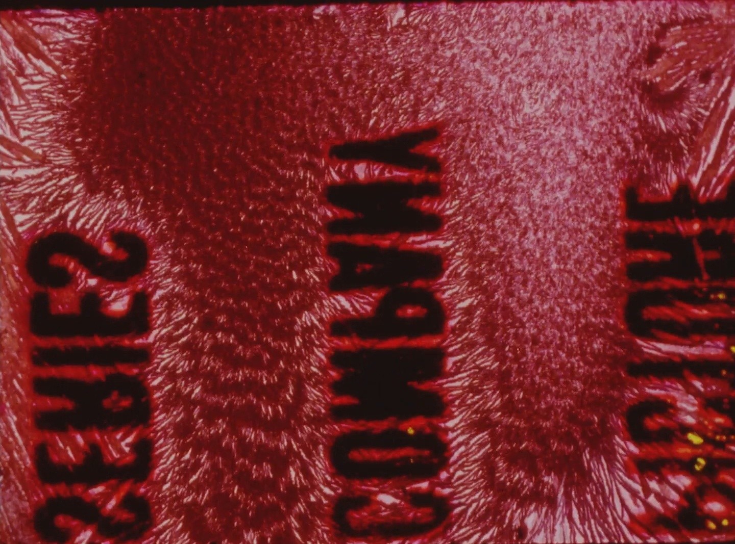 Footprints (1992) —  shot,  lighting