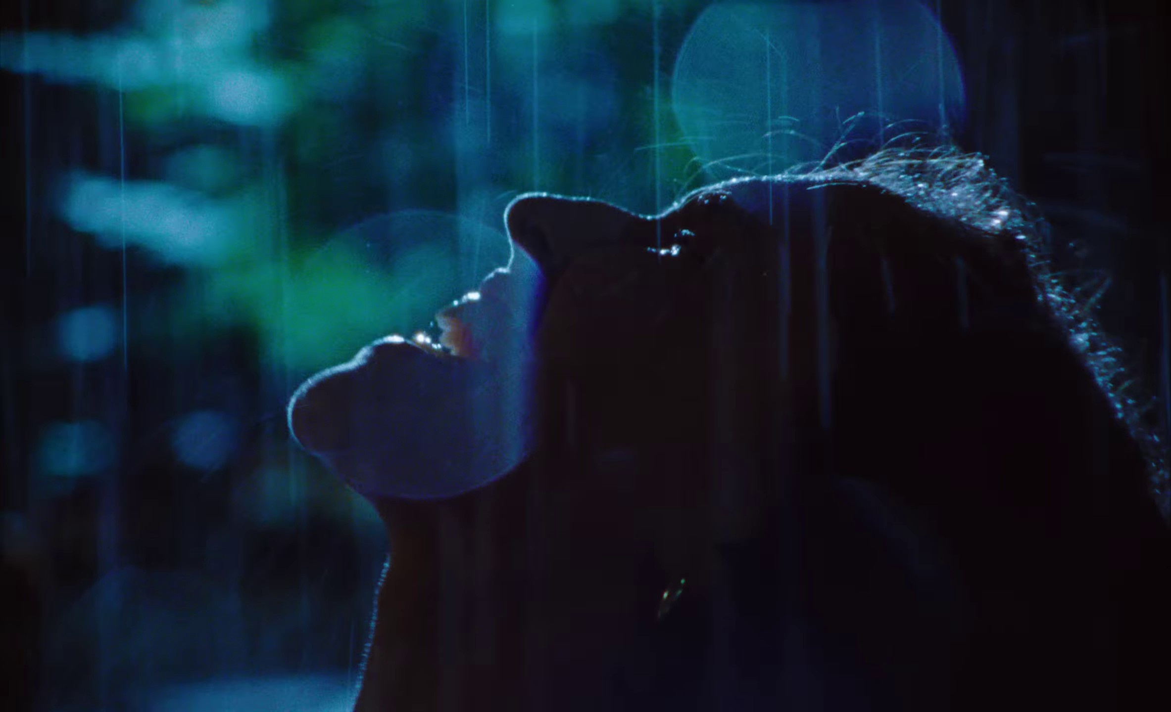 Real Love (2023) —  shot,  lighting