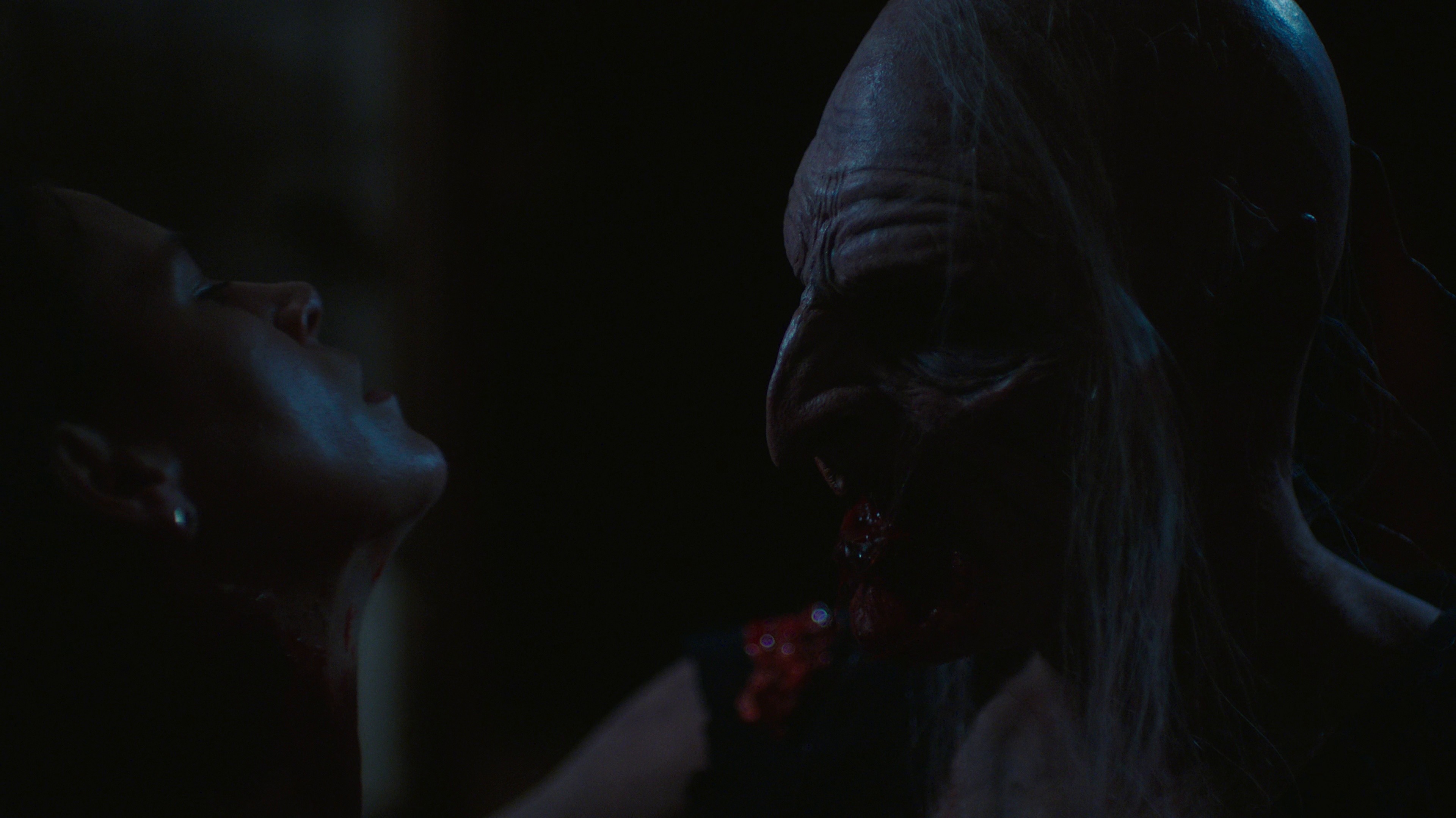 Little Bites (2024) —  shot,  lighting