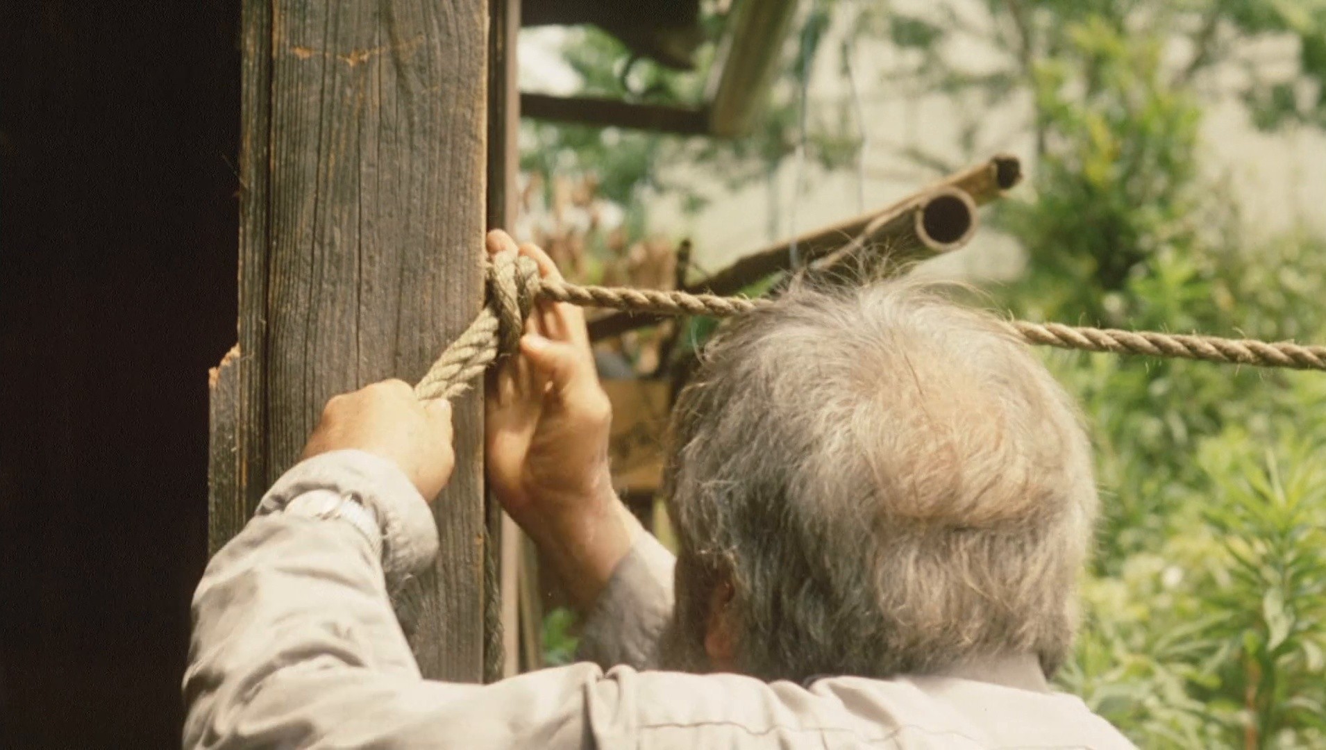 Natsu no niwa: The Friends (1994) —  shot,  lighting