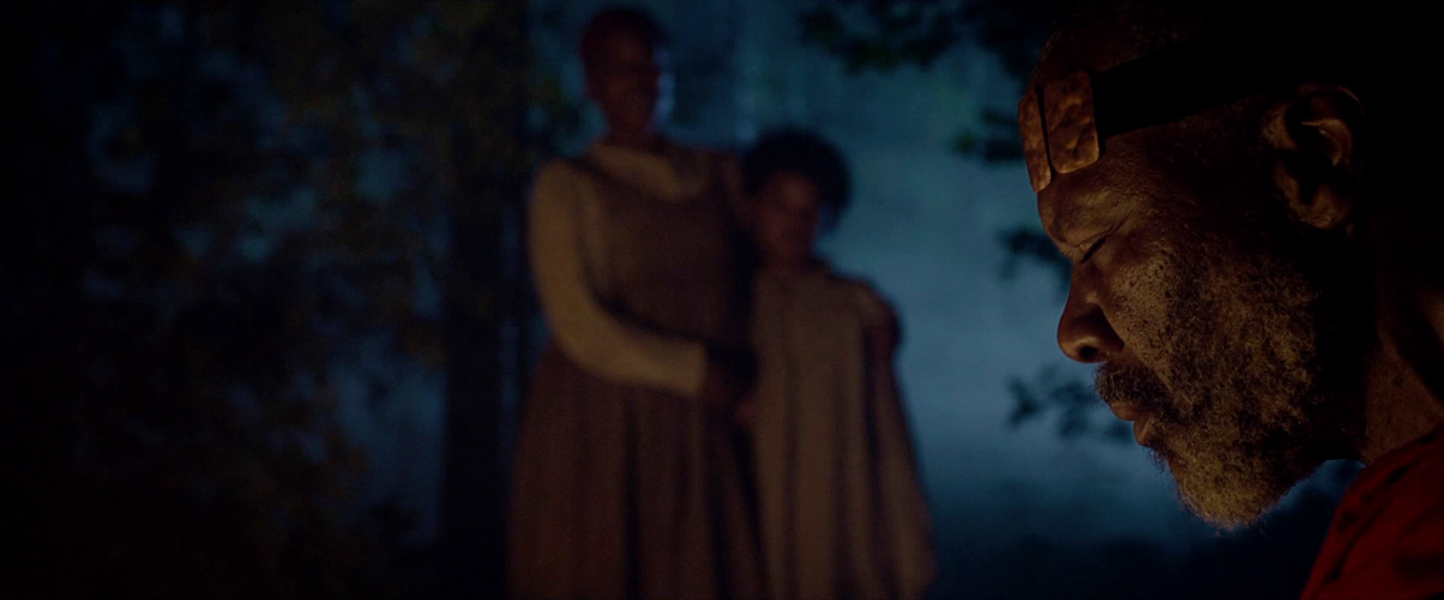 The Birth of a Nation (2016) —  shot,  lighting