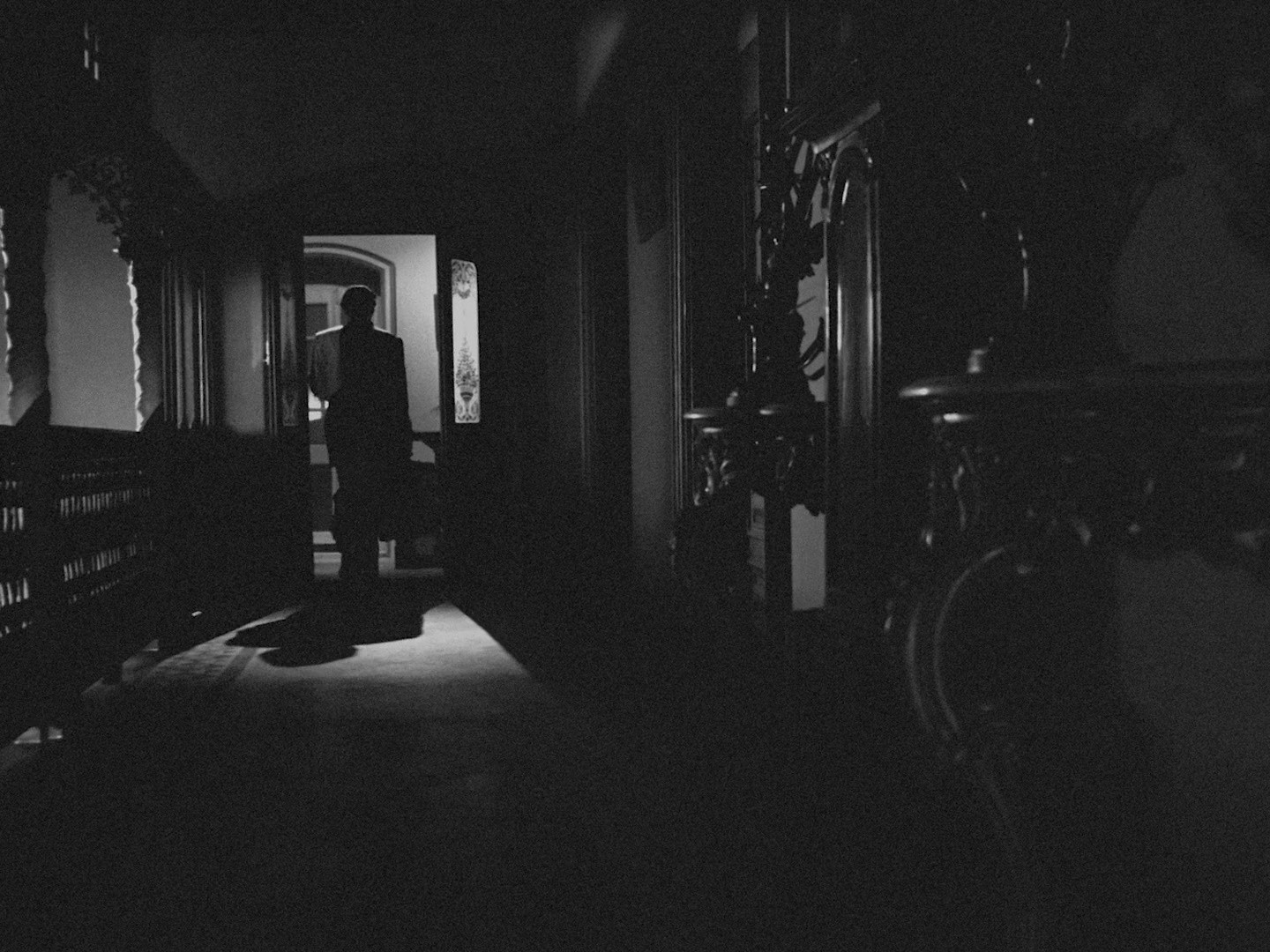 Charulata (1964) —  shot,  lighting