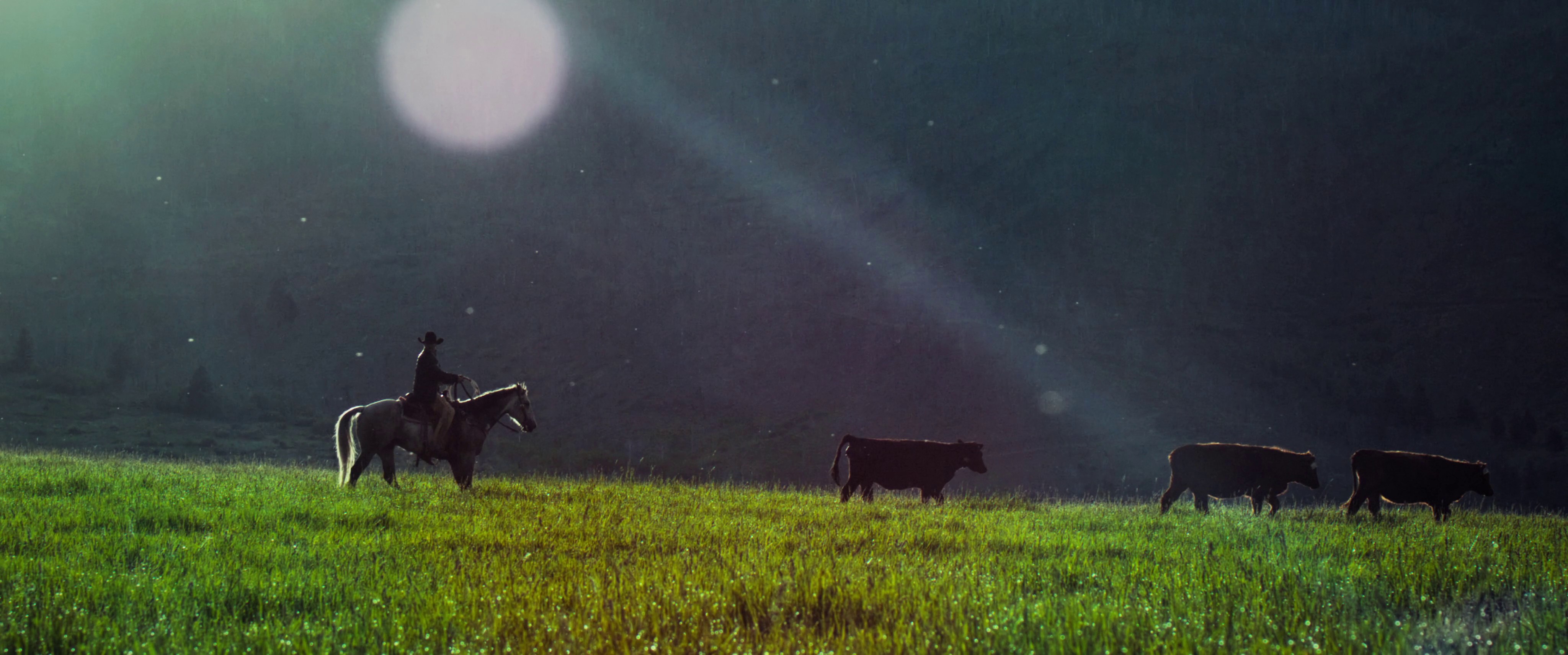 Resistol | It's In Our Blood (2024) —  shot,  lighting