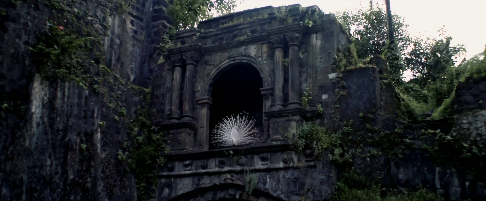 Hymn For The Weekend (2016) —  shot,  lighting