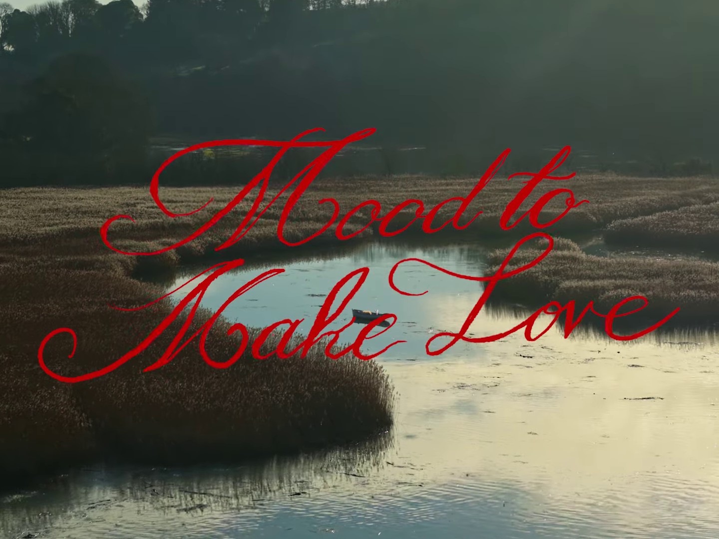 Mood to Make Love (2024) —  shot,  lighting