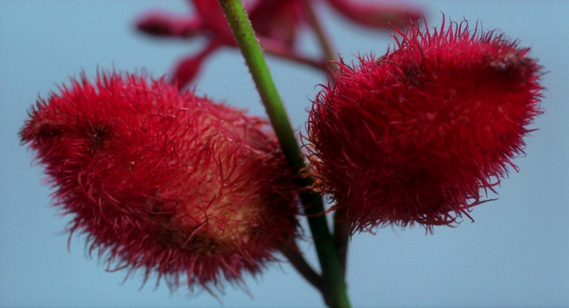 8 Women (2002) —  shot,  lighting