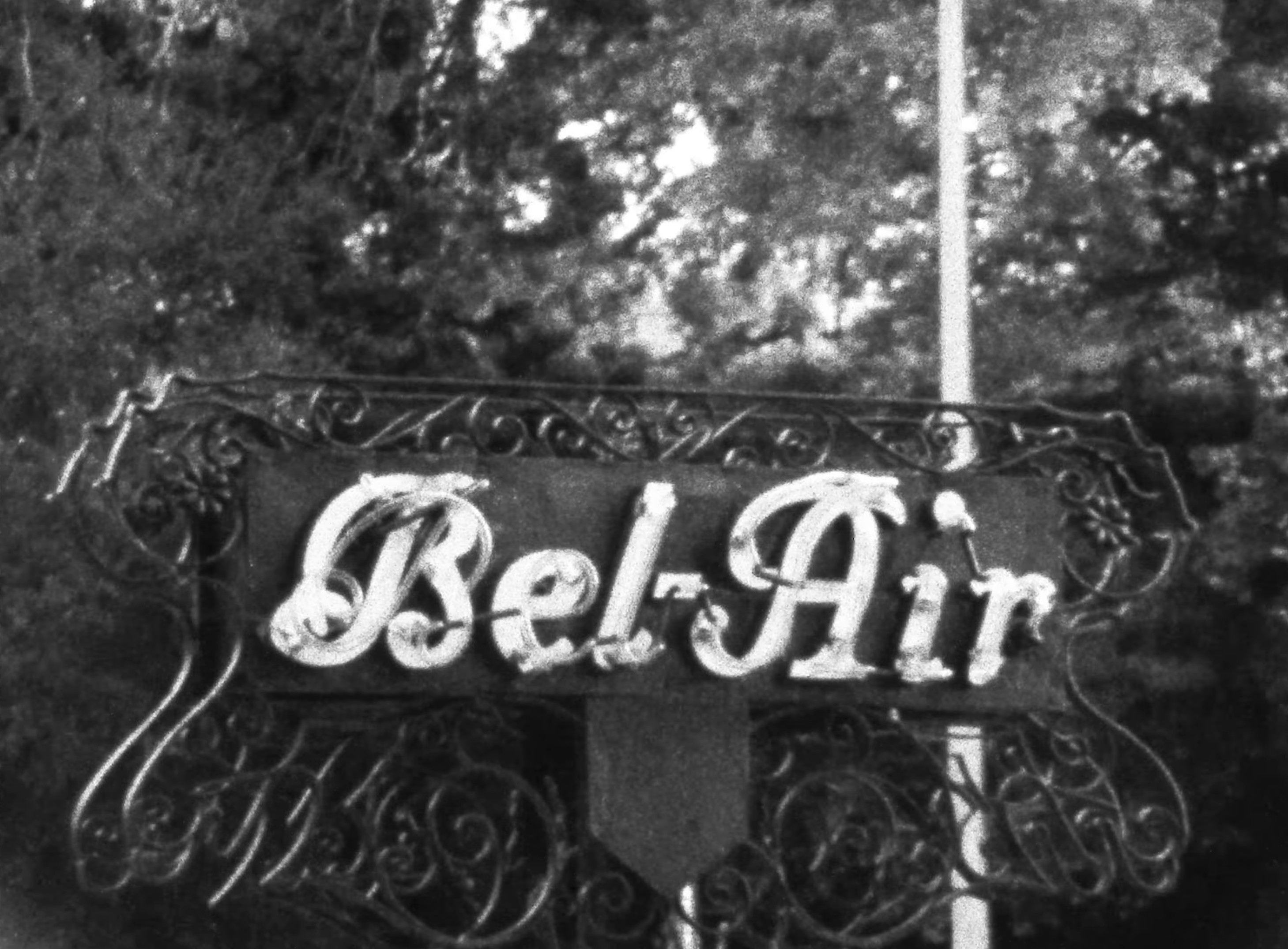 Tally (2023) —  shot,  lighting