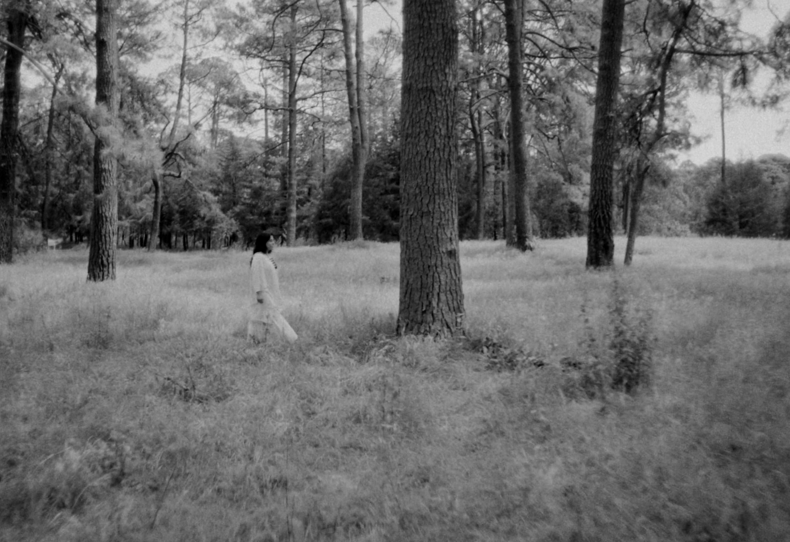 Casa Madero Wine - Since 1597 (2024) —  shot,  lighting