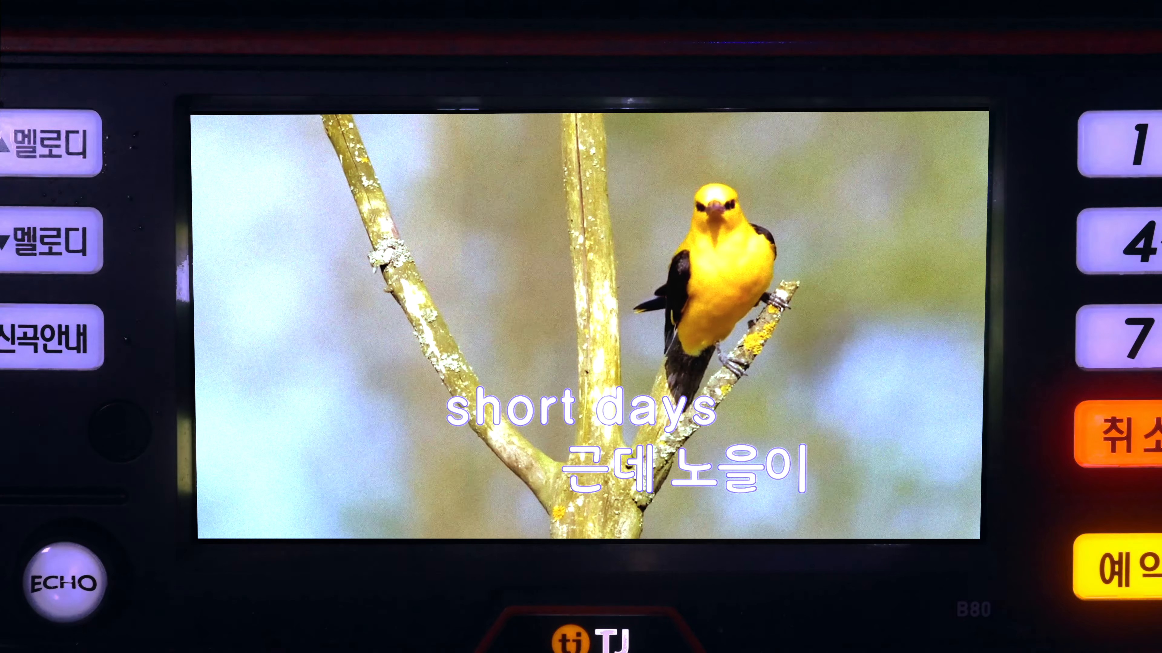 i’ll drink to that (2024) —  shot,  lighting