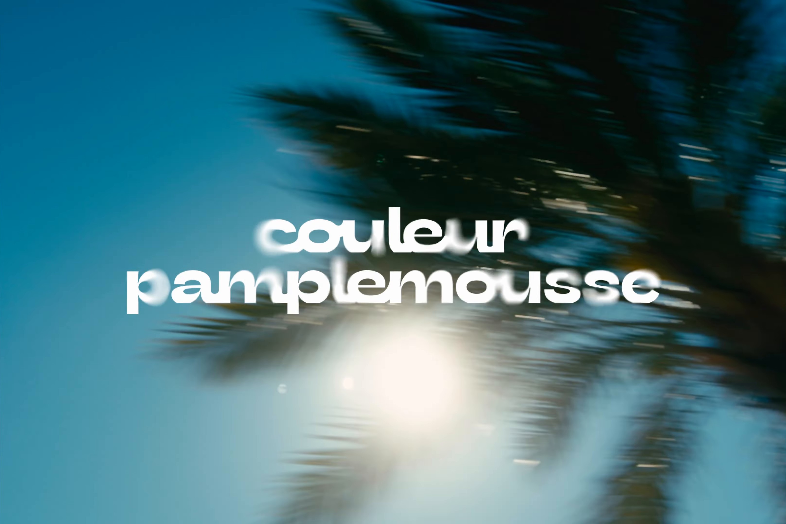 COULEUR PAMPLEMOUSSE (2024) —  shot,  lighting