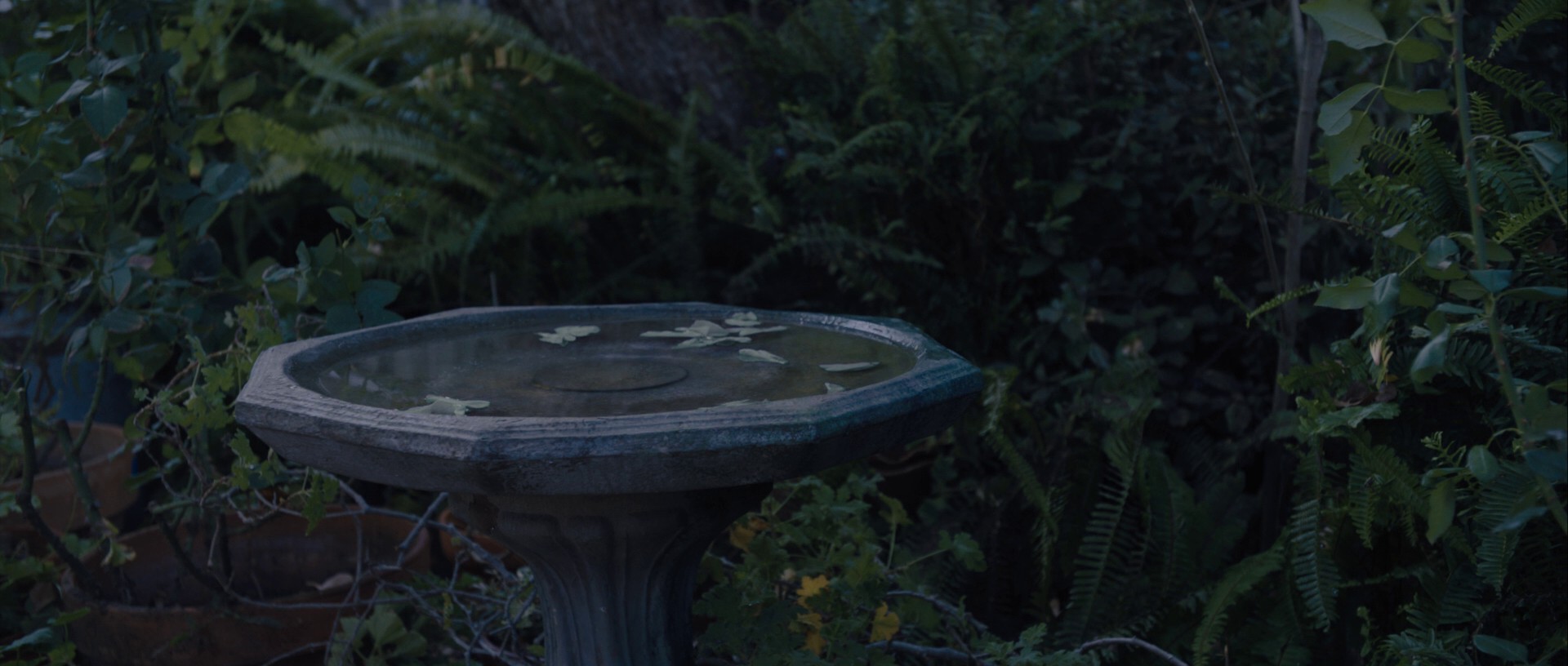 Wakefield (2017) —  shot,  lighting