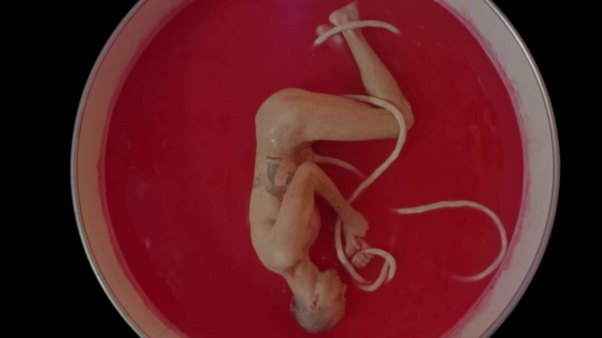 Feel Like A Woman (2023) —  shot,  lighting