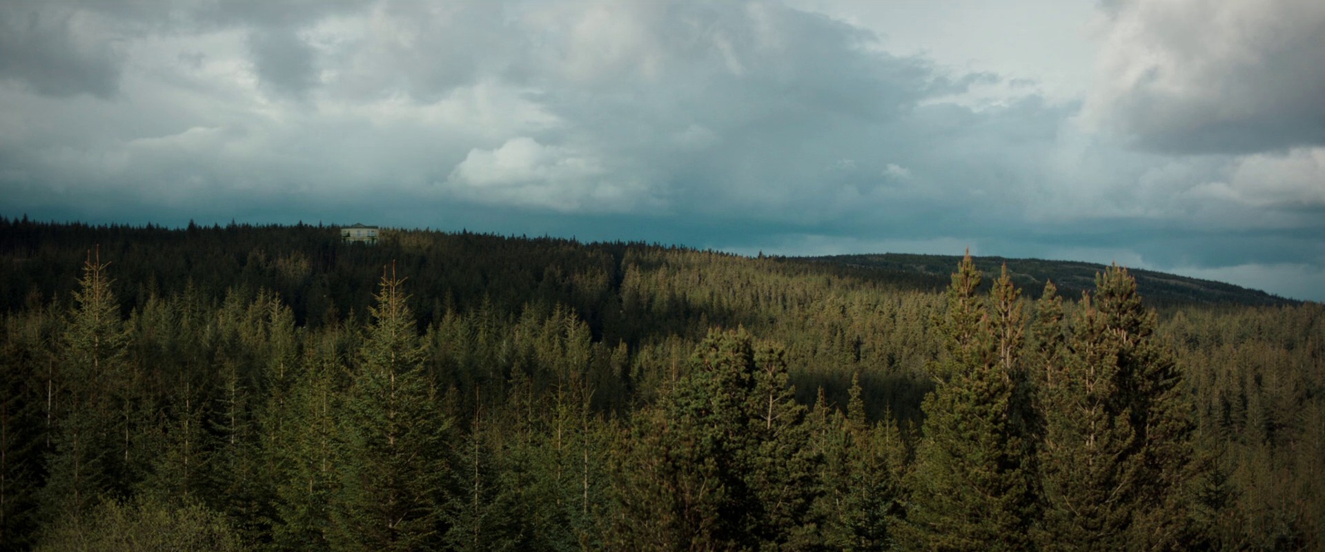 The Hallow (2015) —  shot,  lighting