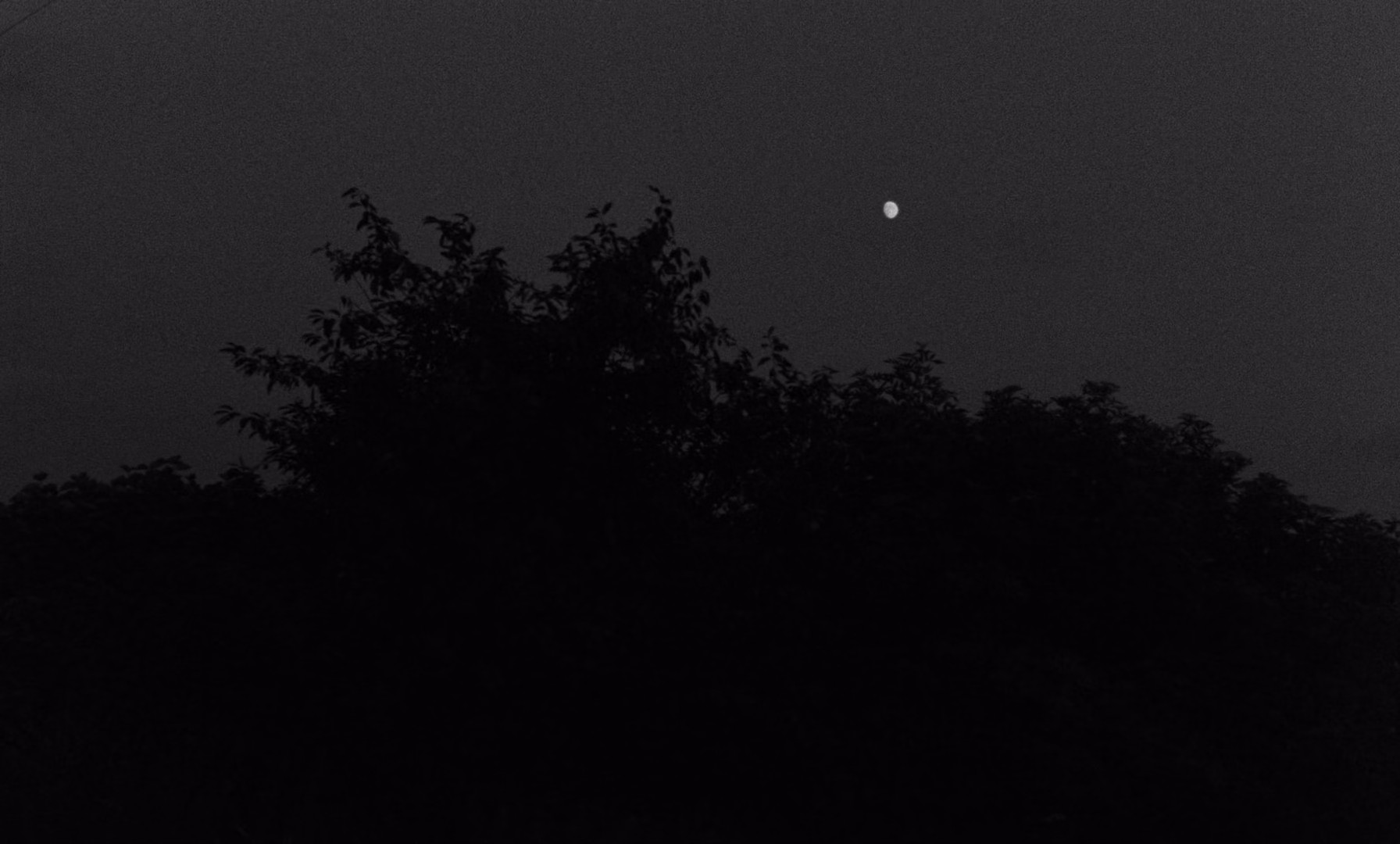 Kings of the Road (1976) —  shot,  lighting