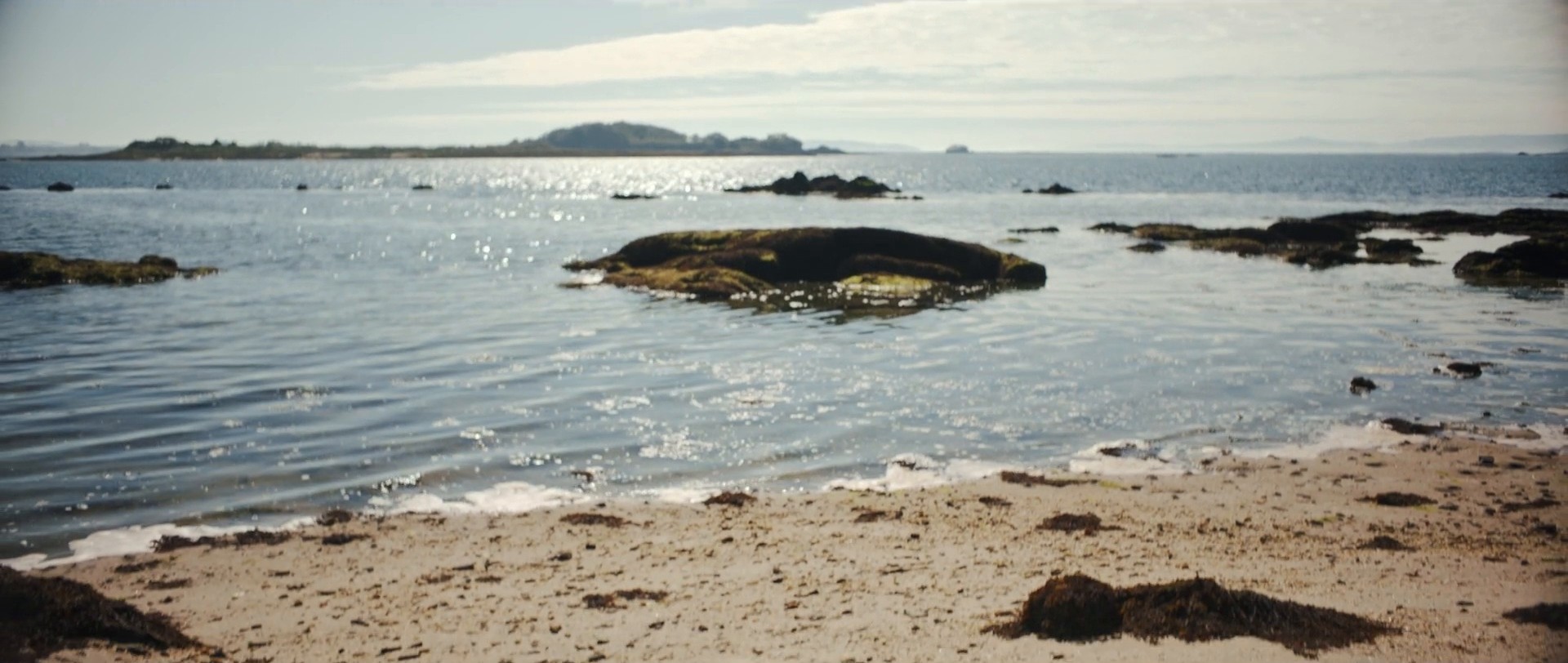 APOLLO & DAPHNE (2018) —  shot,  lighting