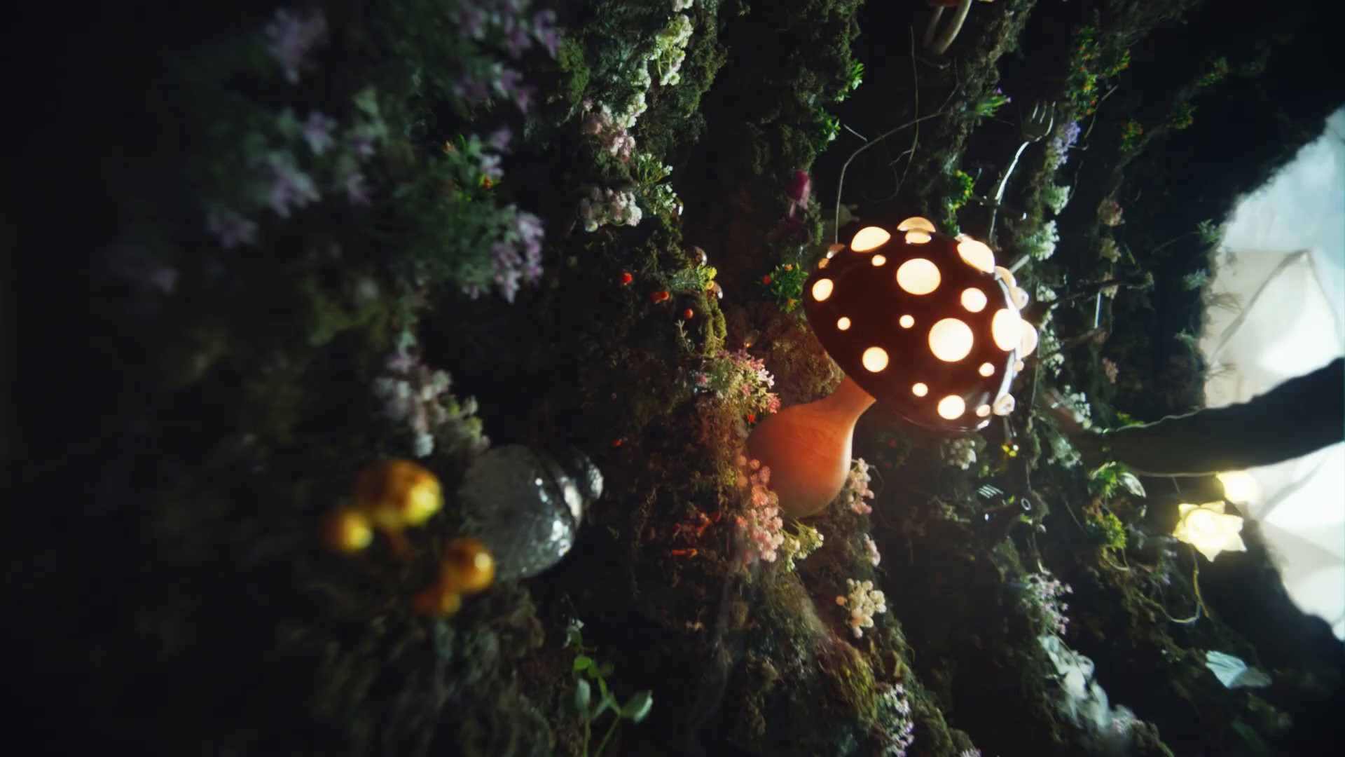 Find Your Aesthetic Pinterest It’s Possible (2024) —  shot,  lighting