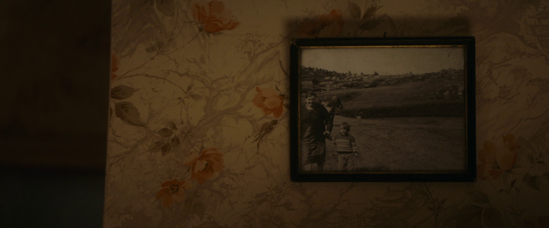 Only the Animals (2019) —  shot,  lighting