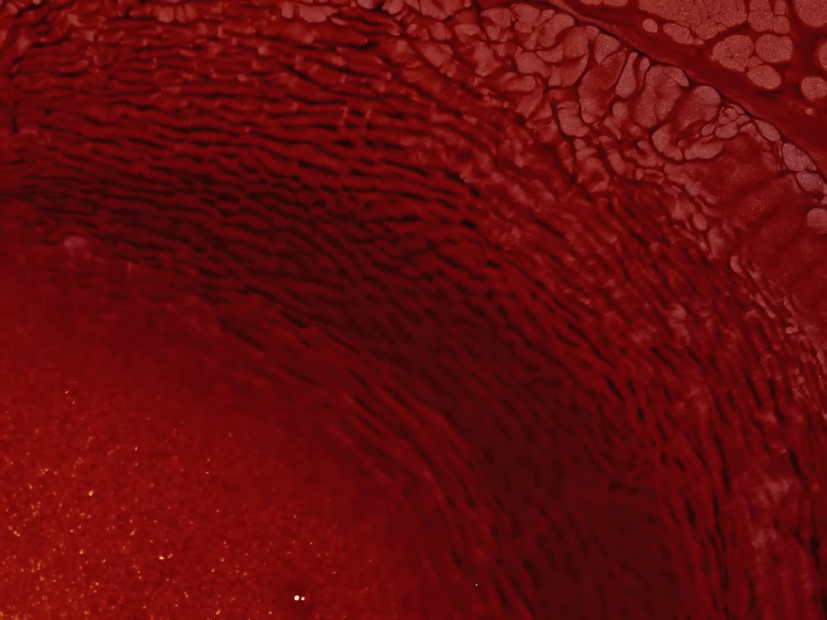 back to friends (2025) —  shot,  lighting