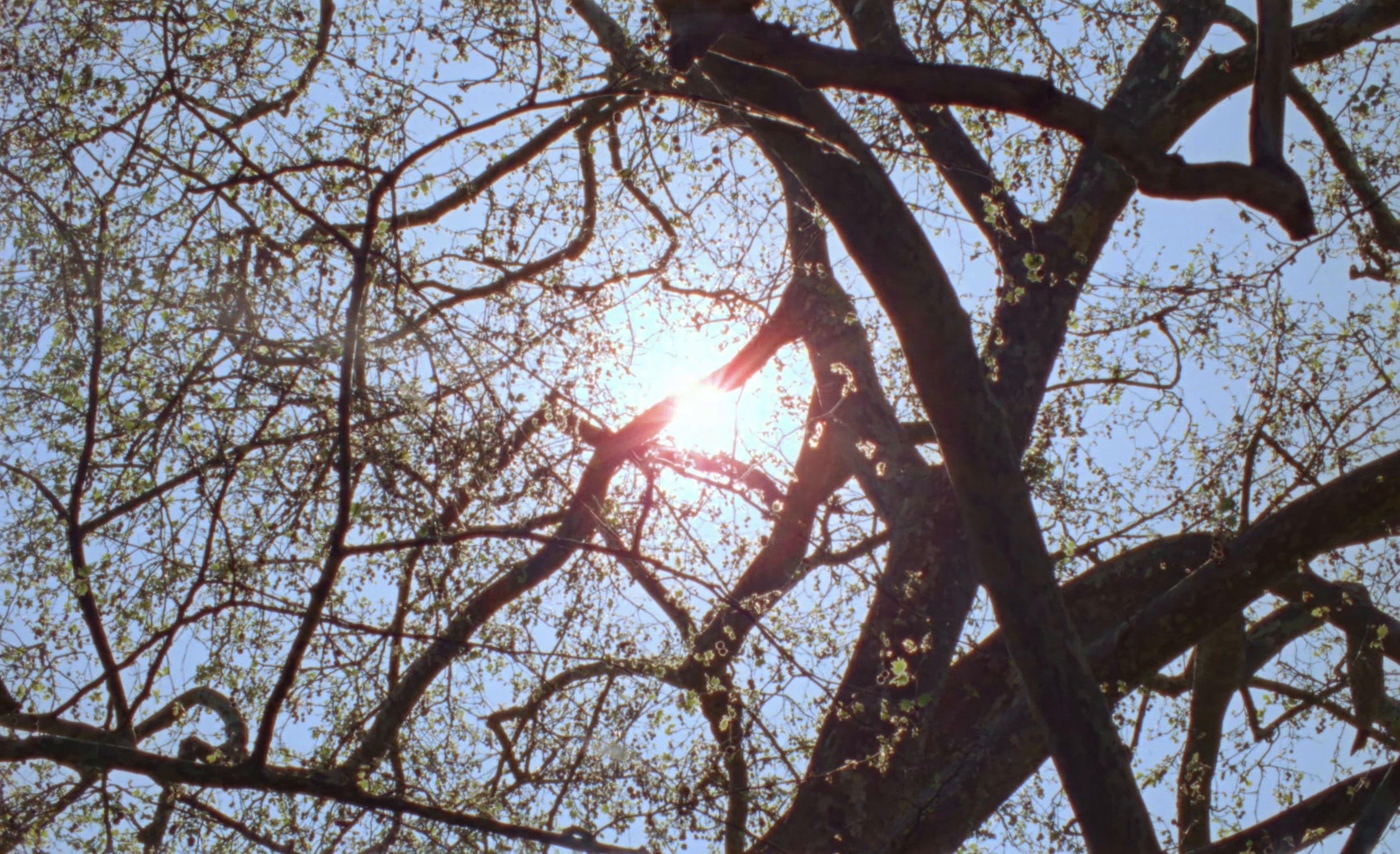 Casse-toi (2025) —  shot,  lighting