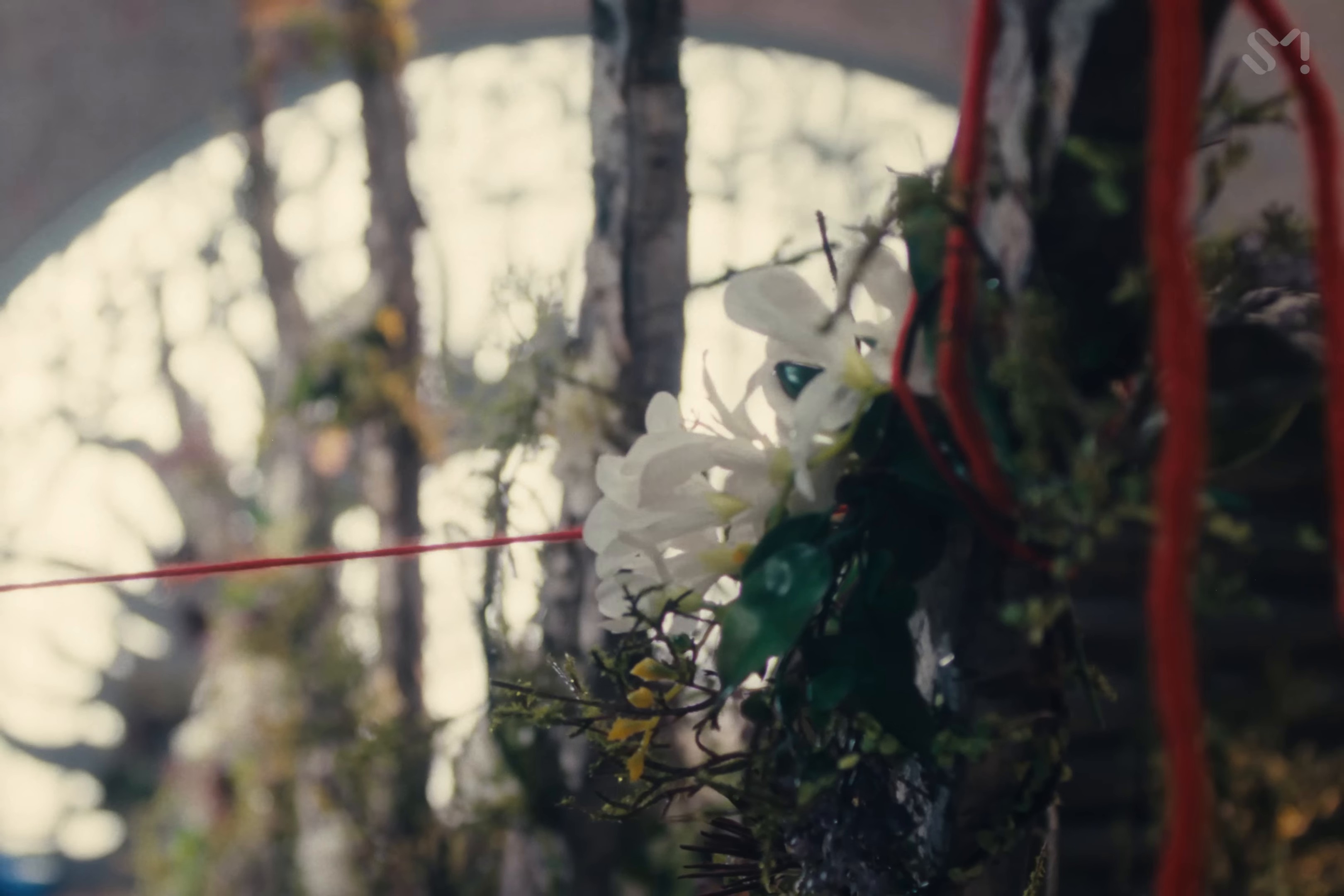 Cosmic (2024) —  shot,  lighting